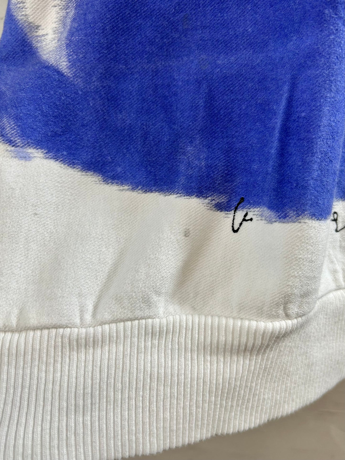 Vintage Hand Painted Sweat MADE IN USA [F30351]