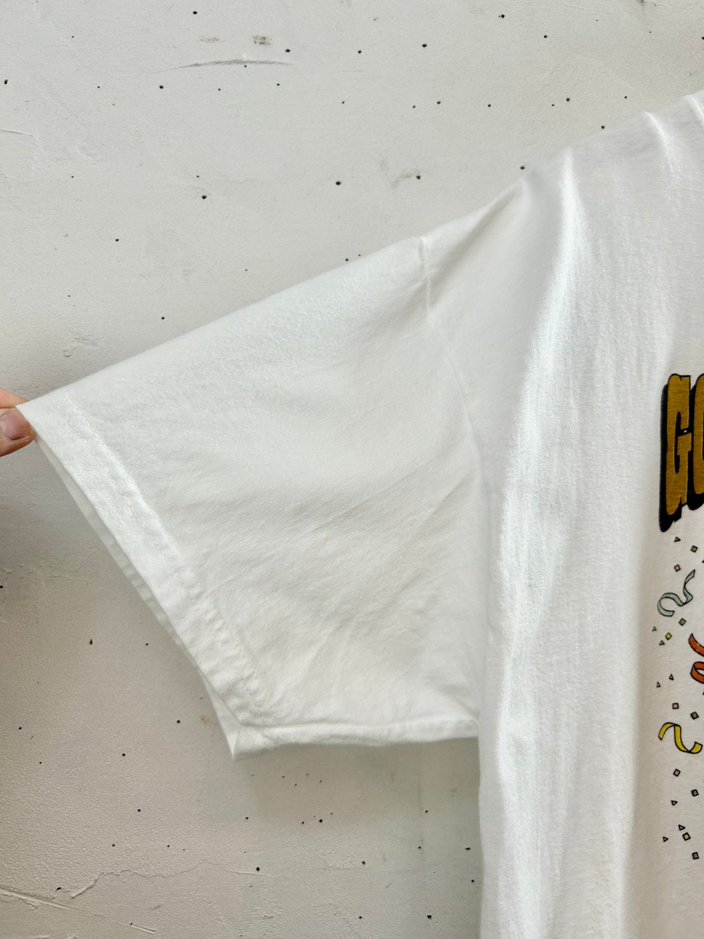 '90s Vintage T-shirt 〜Hanes〜 [E30113]