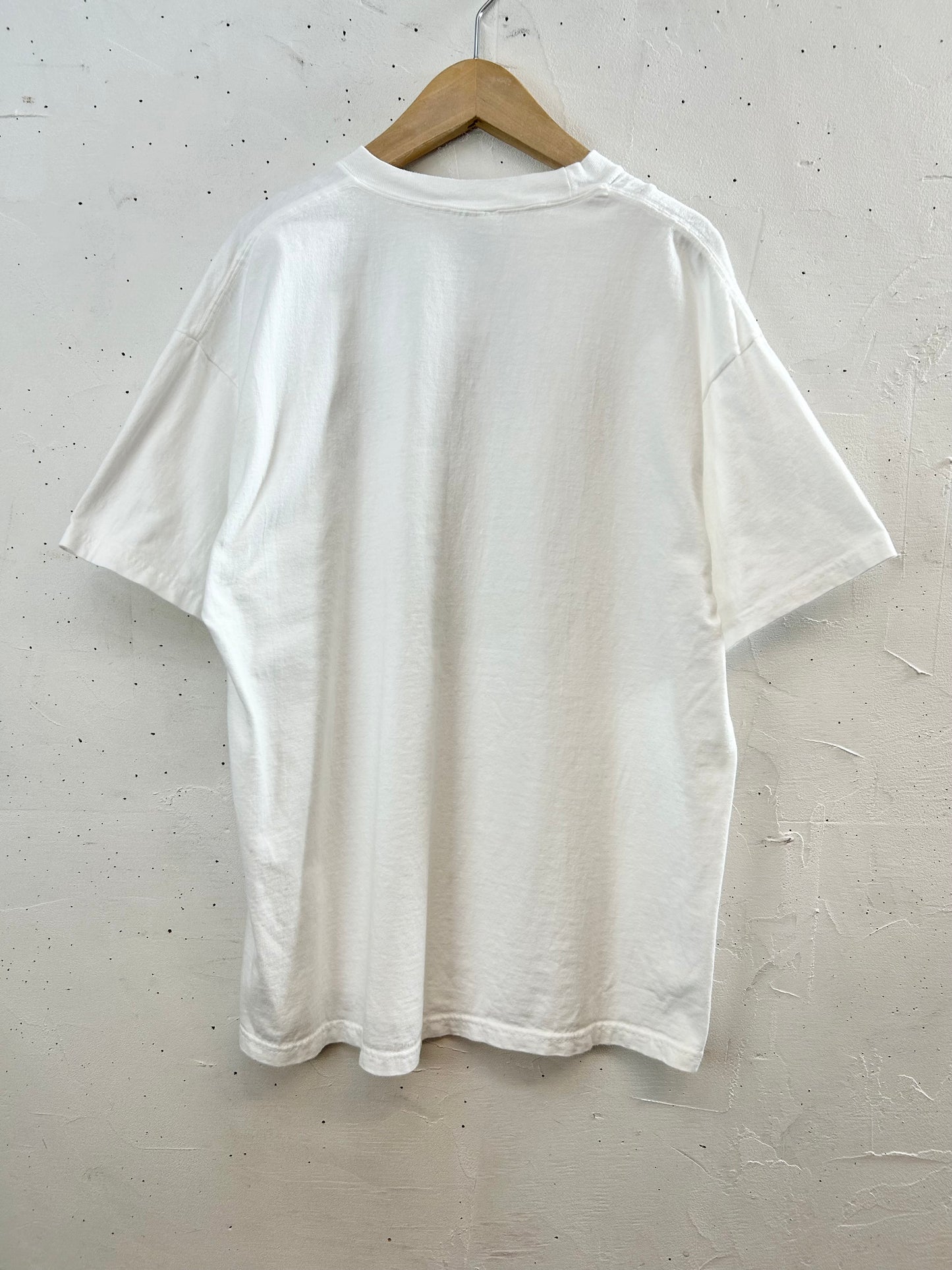 '90s Vintage T-shirt 〜Hanes〜 [E30113]