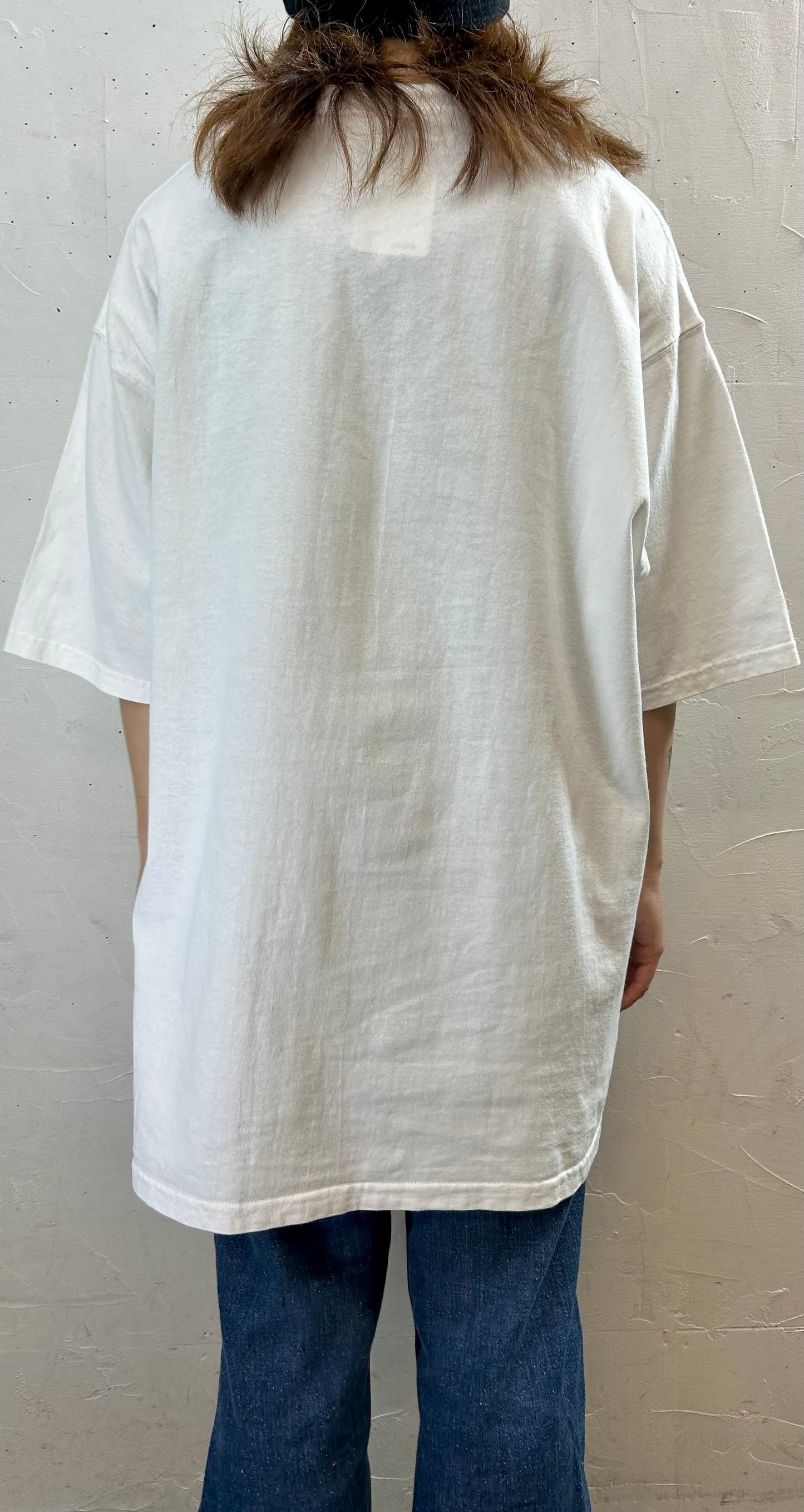 Vintage Cotton　T-Shirt 〜TULTEX〜 [F27552］