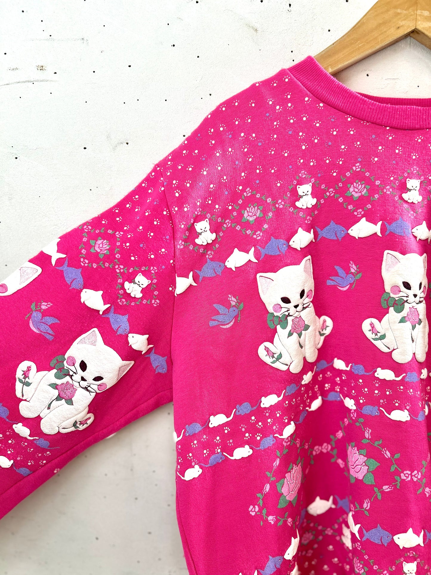 Vintage Fancy Sweat 〜SCOOP OF SPUMONI〜 [D29930]