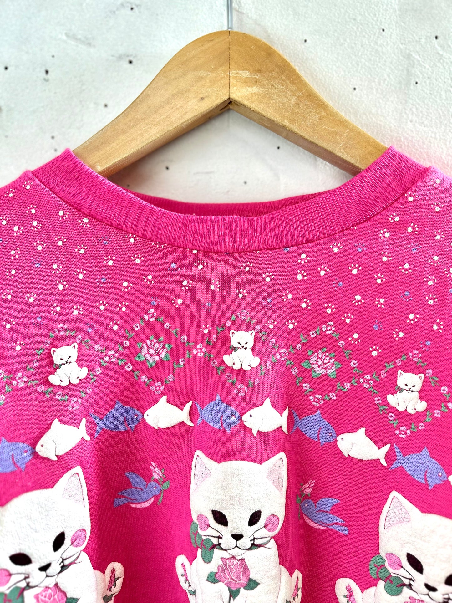 Vintage Fancy Sweat 〜SCOOP OF SPUMONI〜 [D29930]