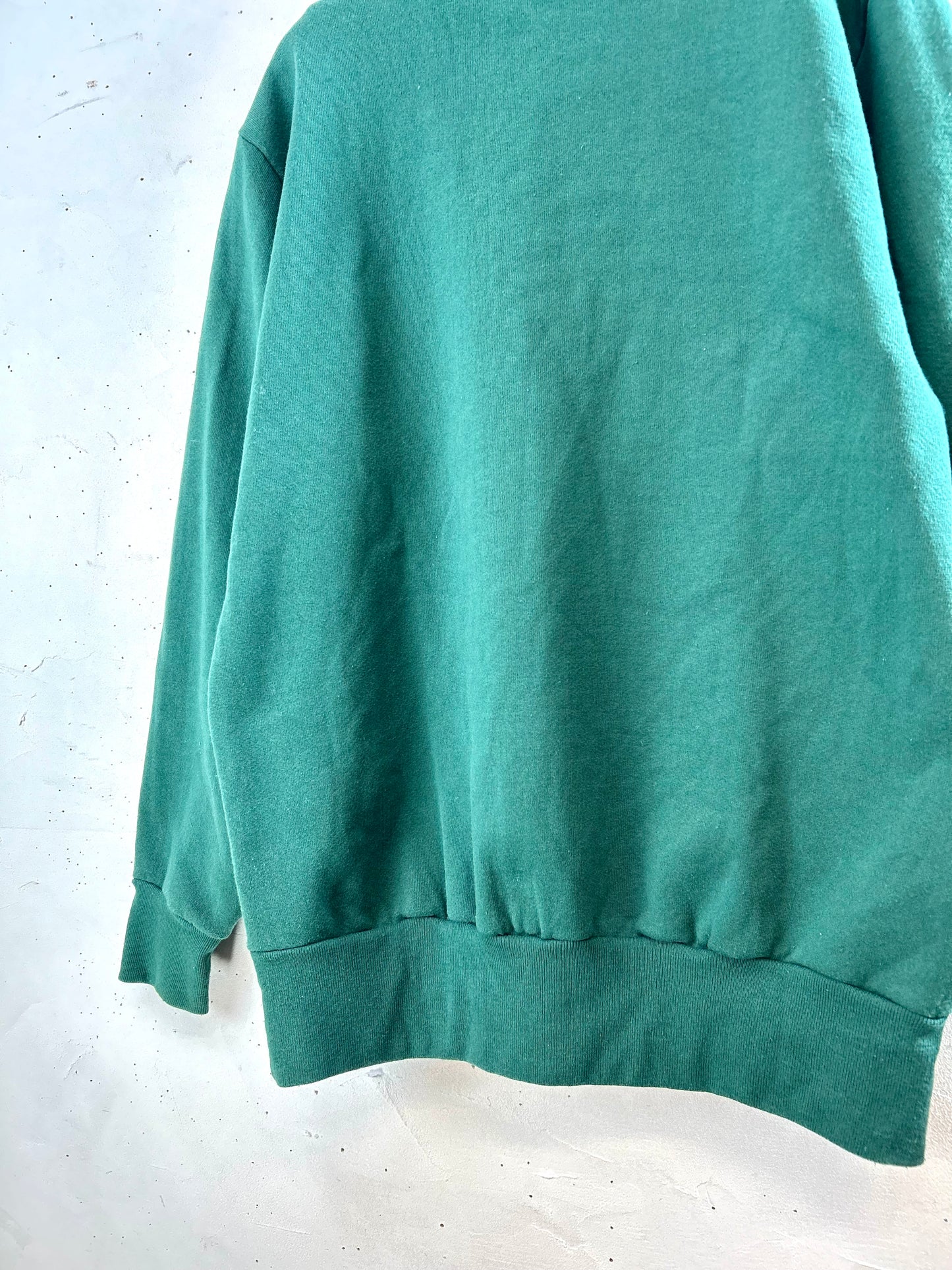 Vintage Sweat MADE IN USA [D29941]