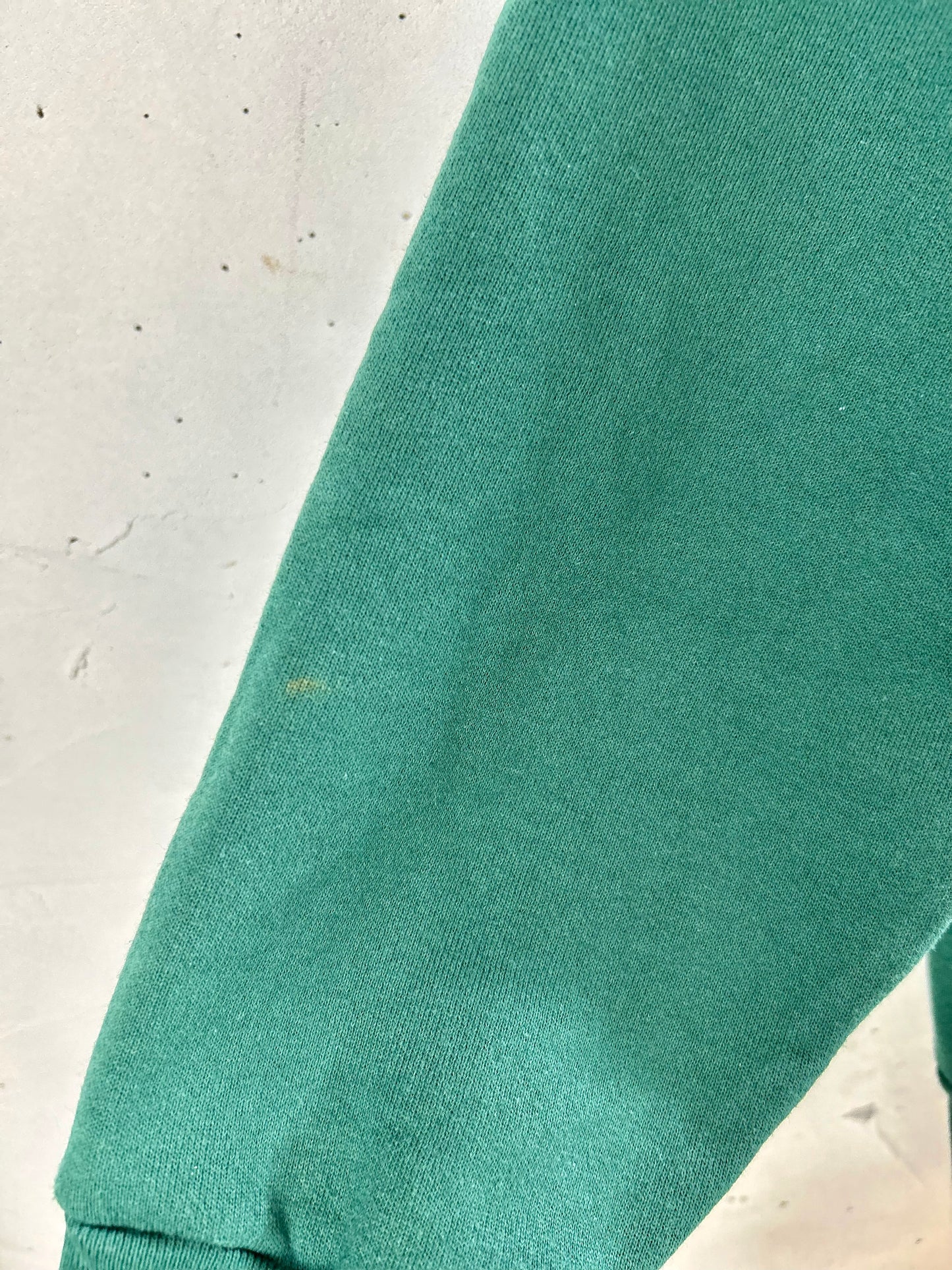 Vintage Sweat MADE IN USA [D29941]