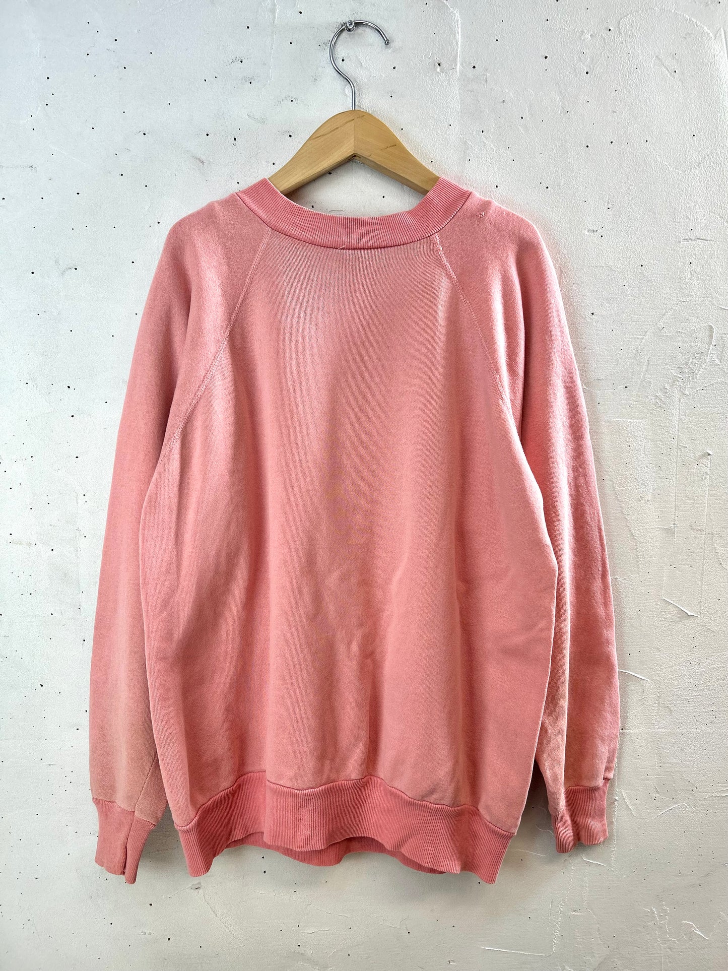 Vintage Sweat MADE IN USA [D29942]