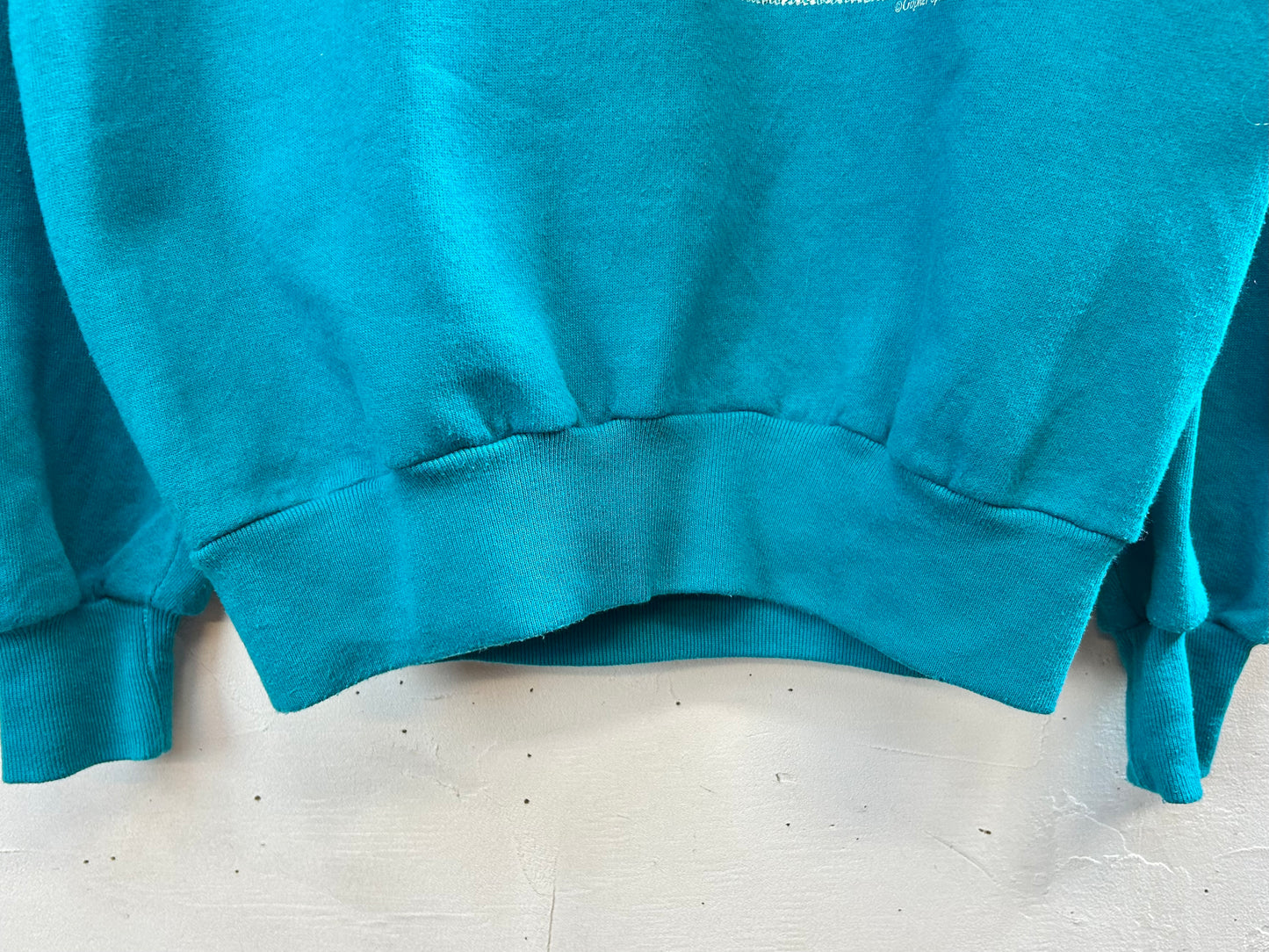 Vintage Sweat MADE IN USA [A29295]