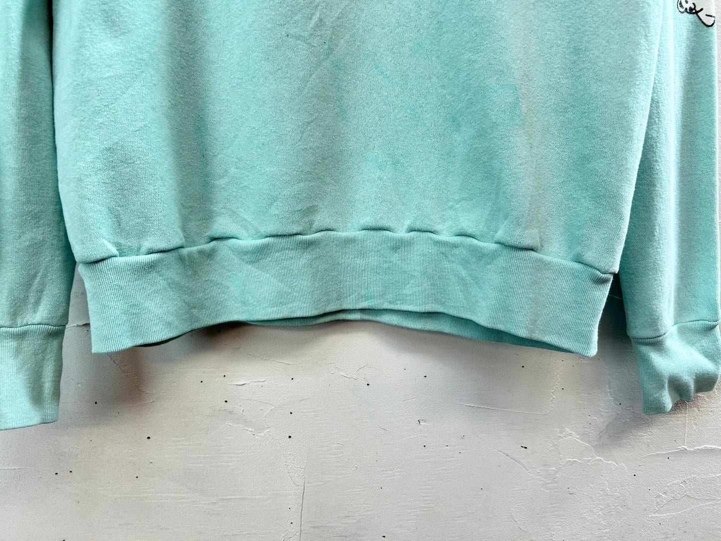 Vintage Sweat MADE IN USA [A29294]