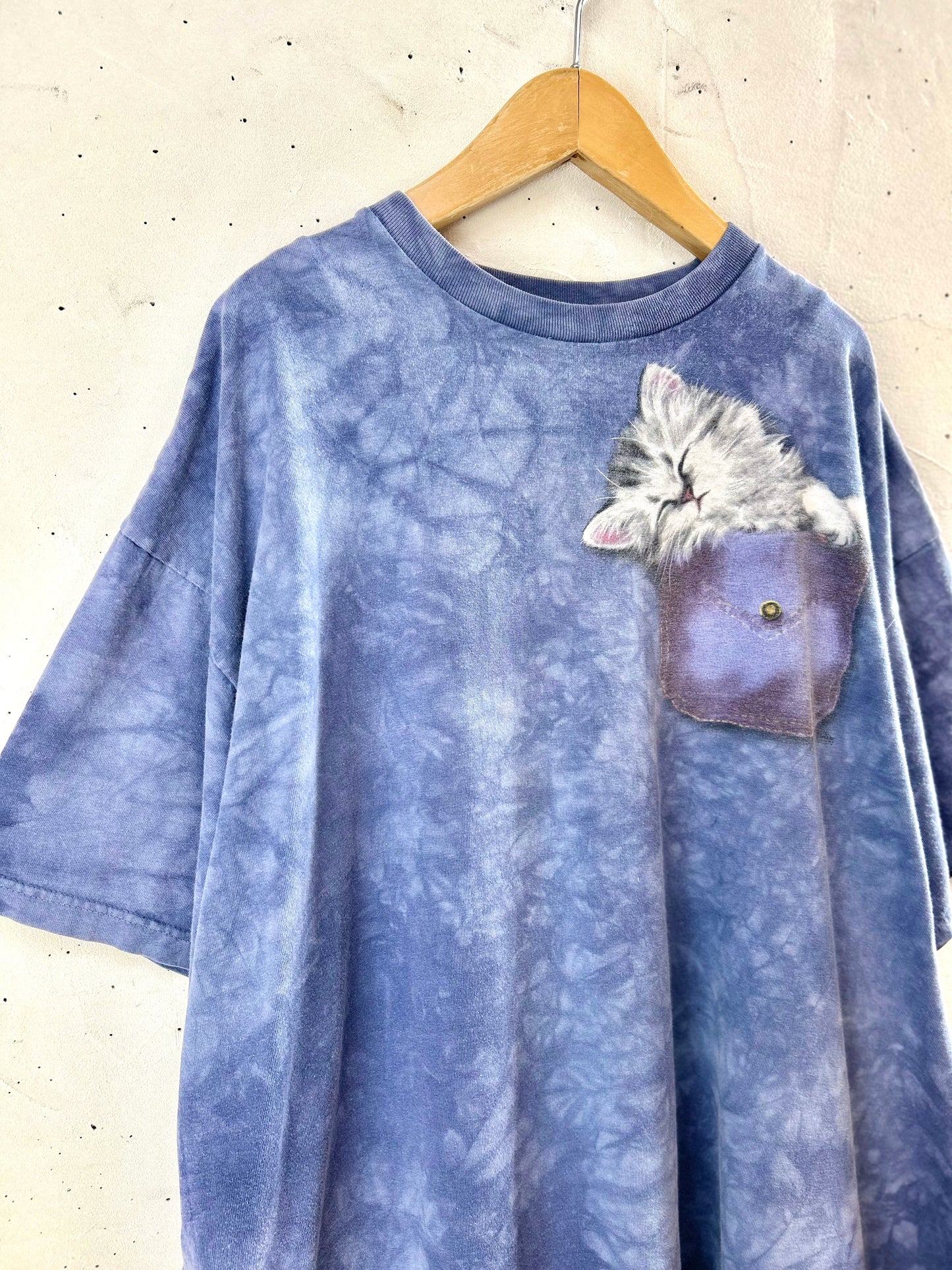 Vintage T-Shirt 〜THE MOUNTAIN〜 MADE IN USA  [E30151]