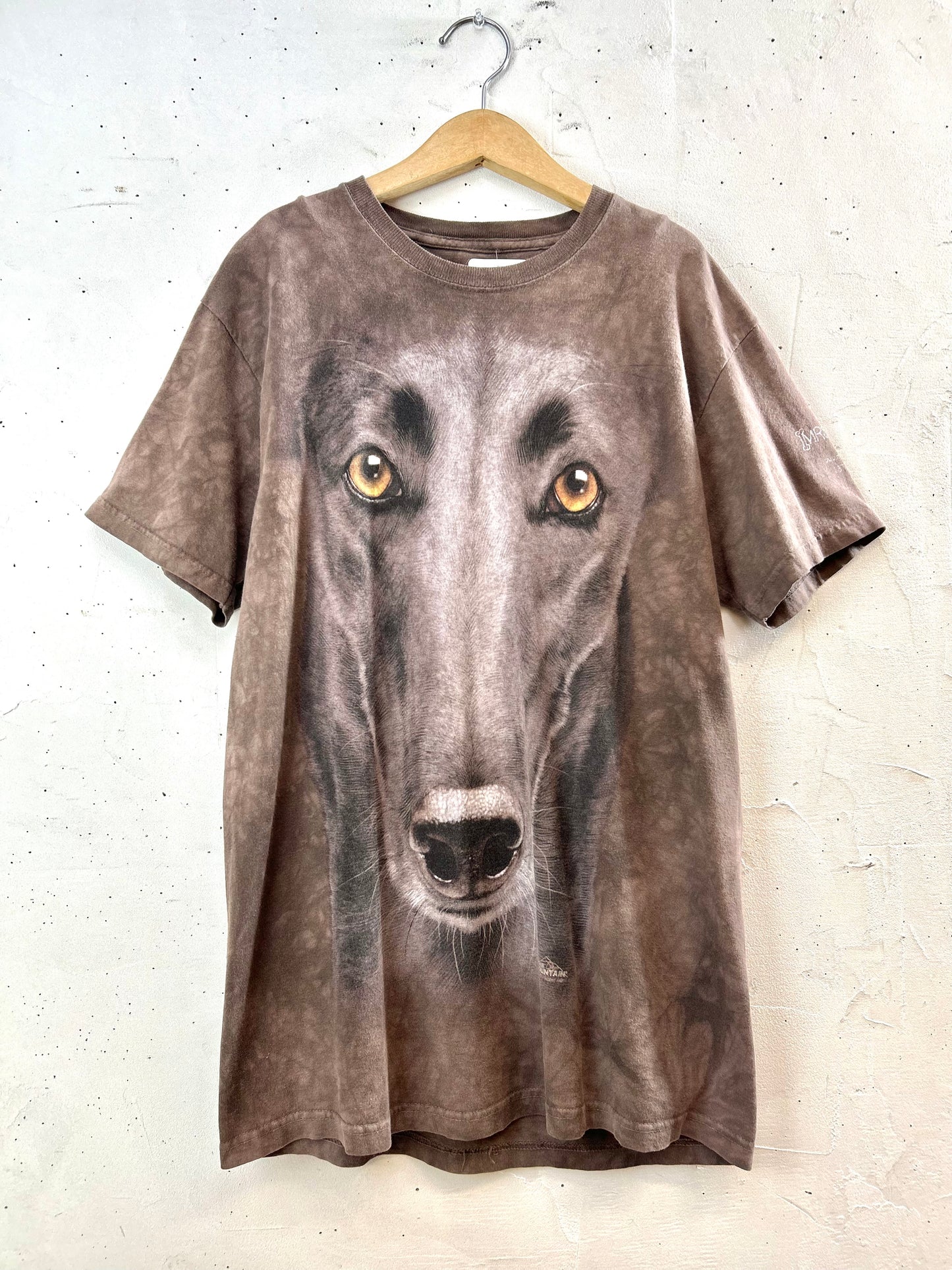 Vintage T-Shirt 〜THE MOUNTAIN〜 MADE IN USA  [E30148]