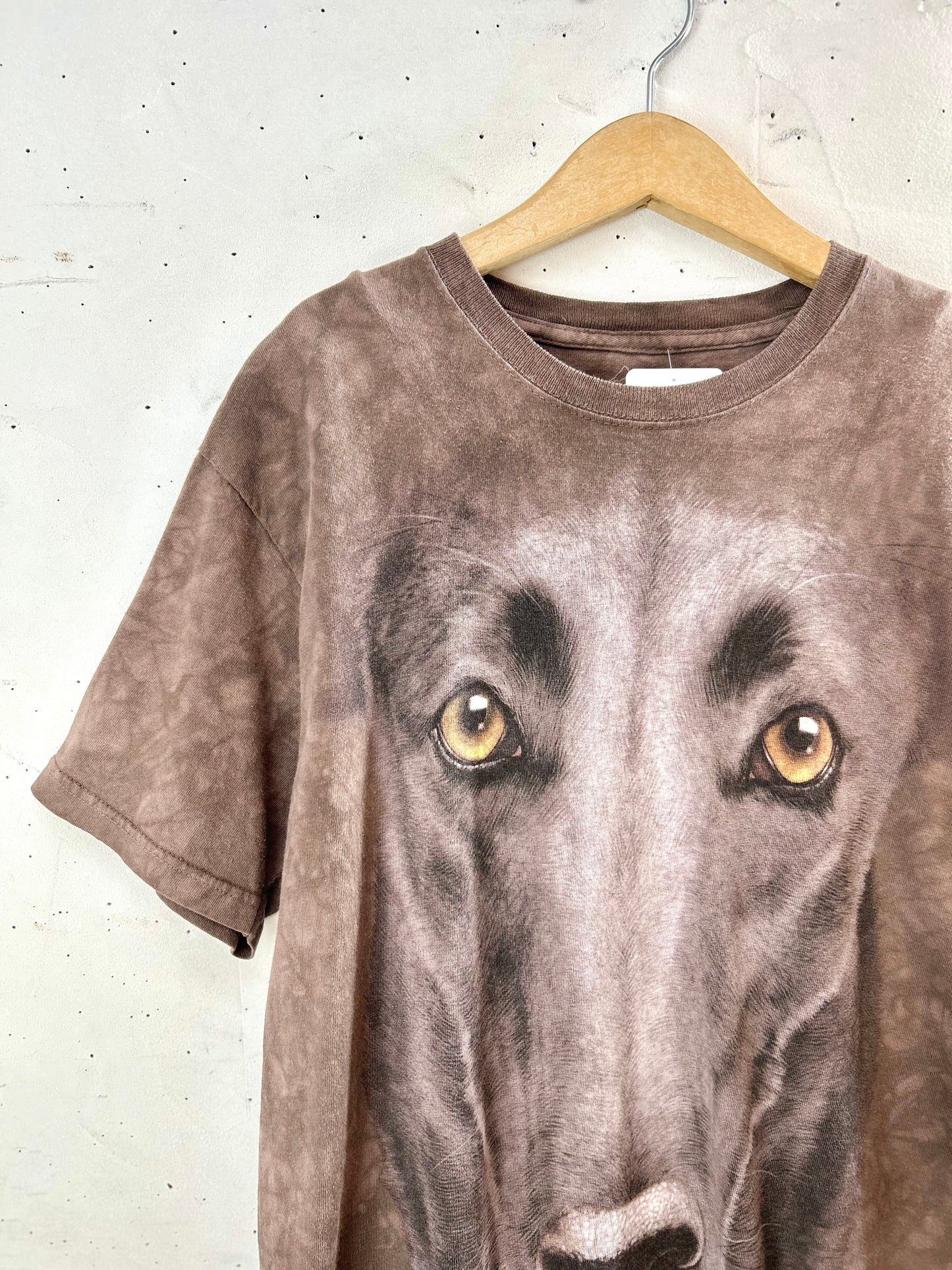Vintage T-Shirt 〜THE MOUNTAIN〜 MADE IN USA  [E30148]