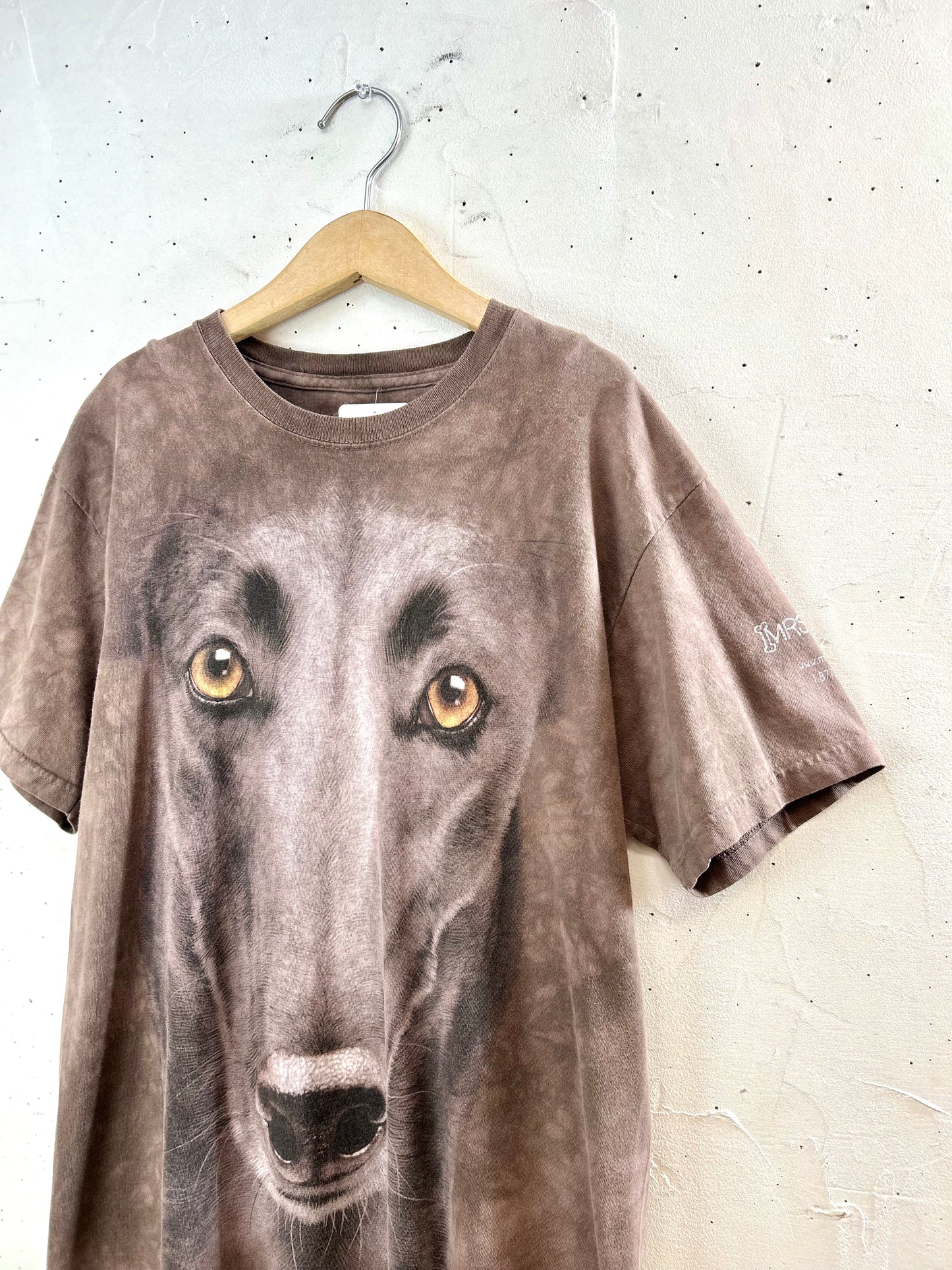 Vintage T-Shirt 〜THE MOUNTAIN〜 MADE IN USA  [E30148]