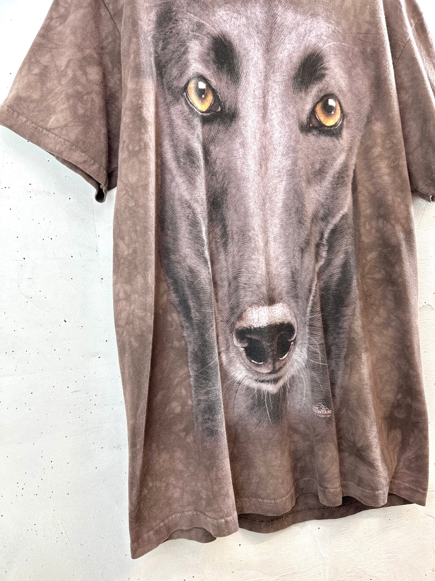 Vintage T-Shirt 〜THE MOUNTAIN〜 MADE IN USA  [E30148]