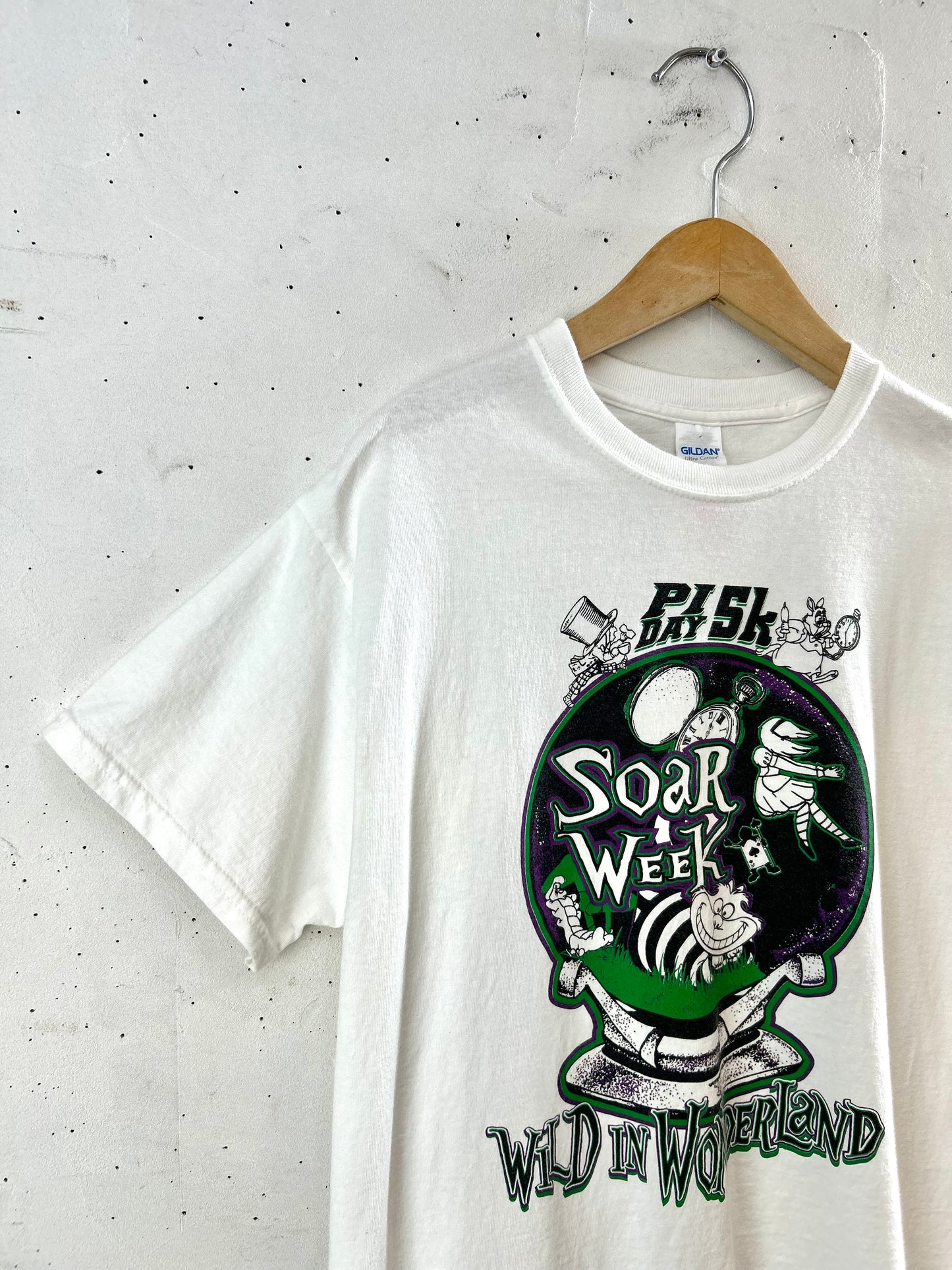 Vintage T-Shirt 〜GILDAN〜 [F30578]
