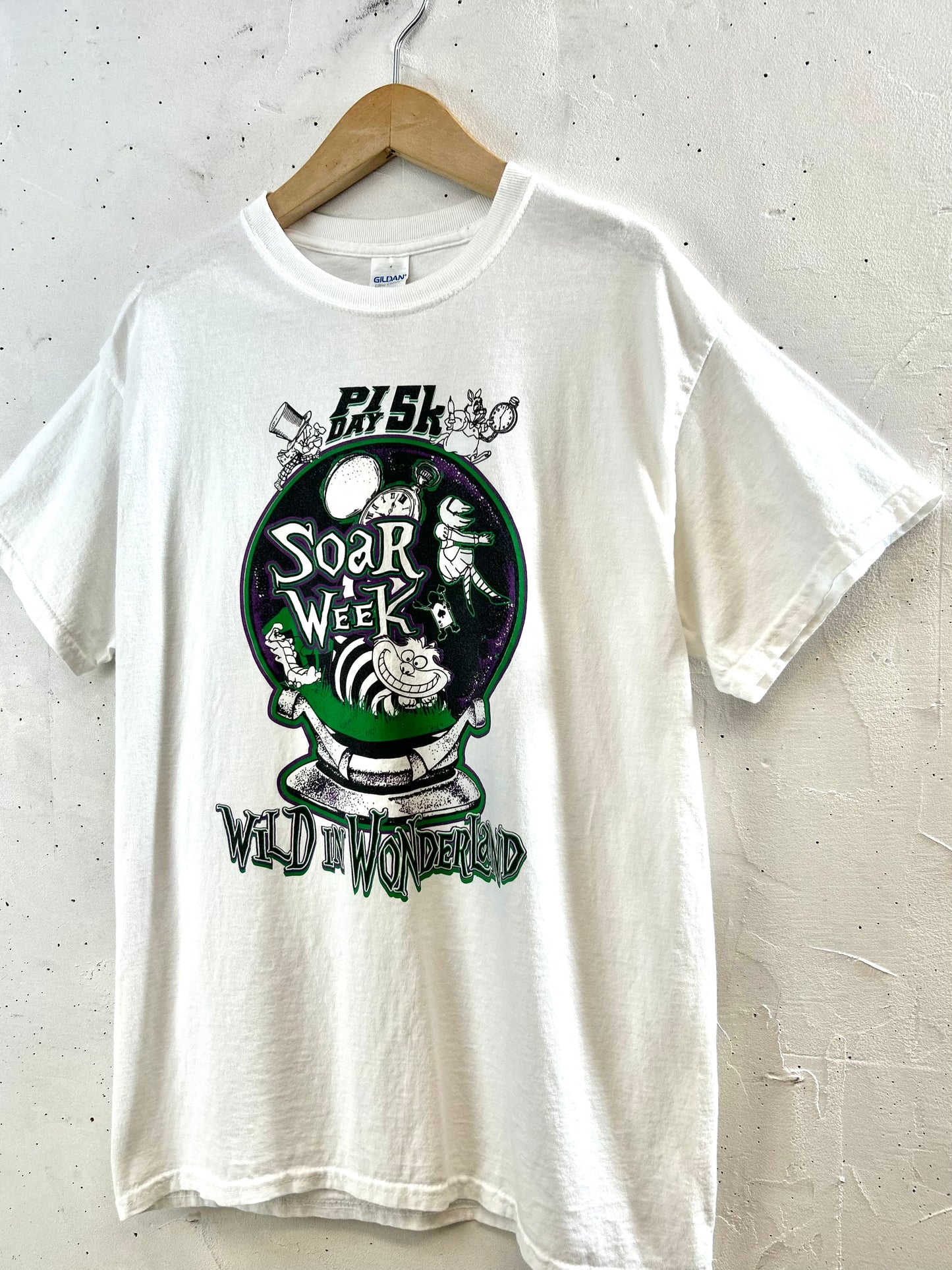 Vintage T-Shirt 〜GILDAN〜 [F30578]