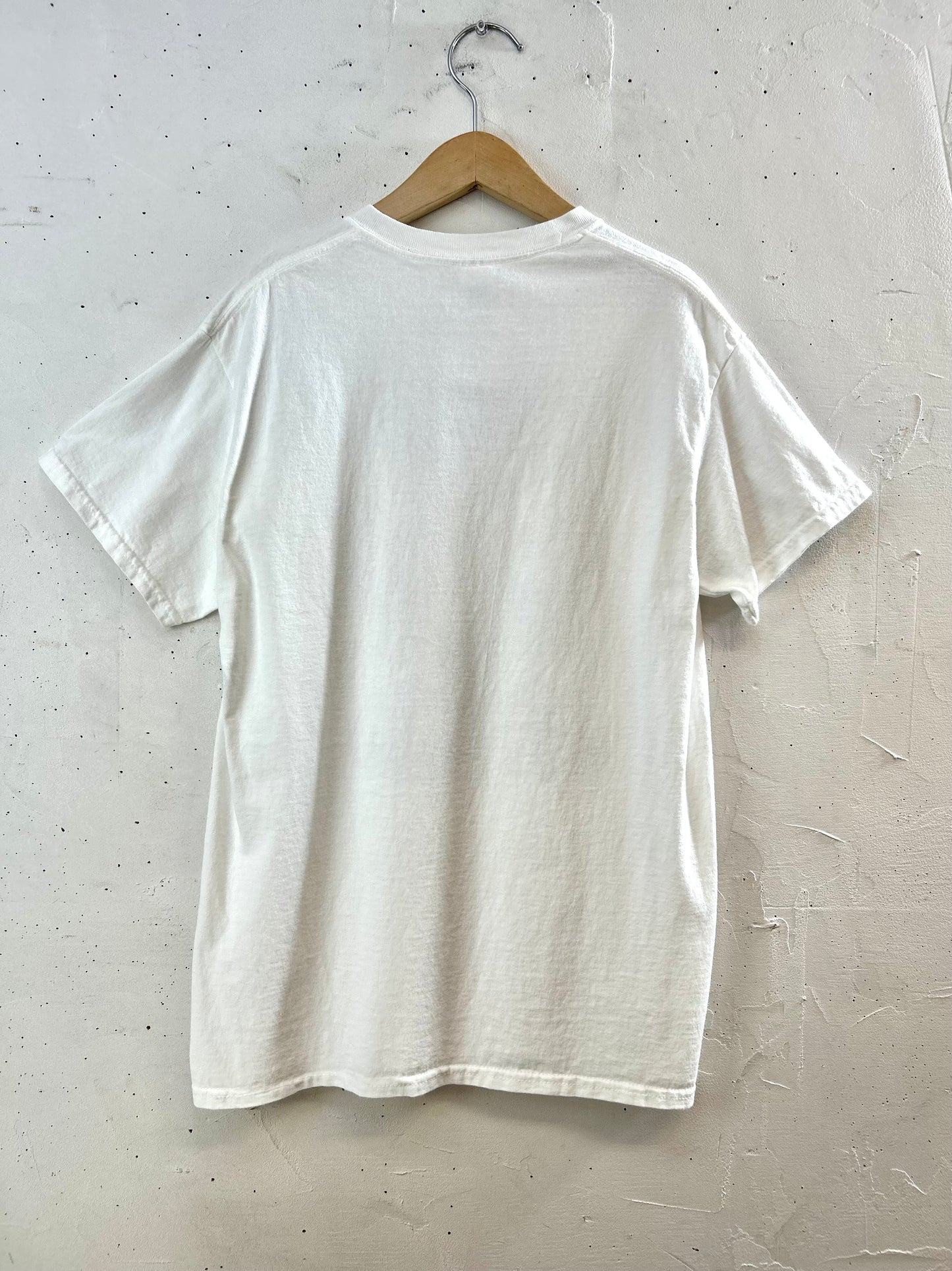 Vintage T-Shirt 〜GILDAN〜 [F30578]