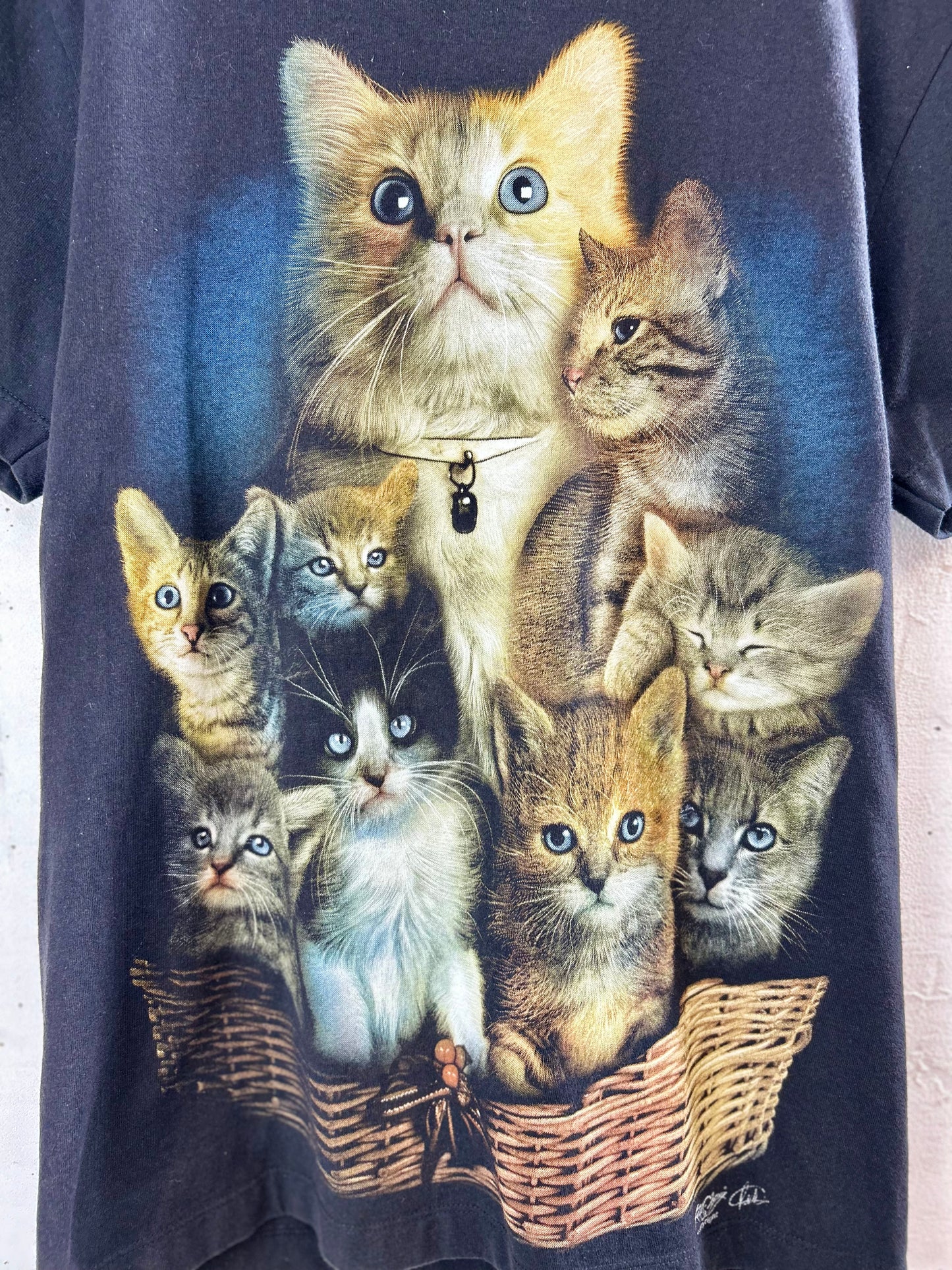 Vintage T-Shirt  [E30150]
