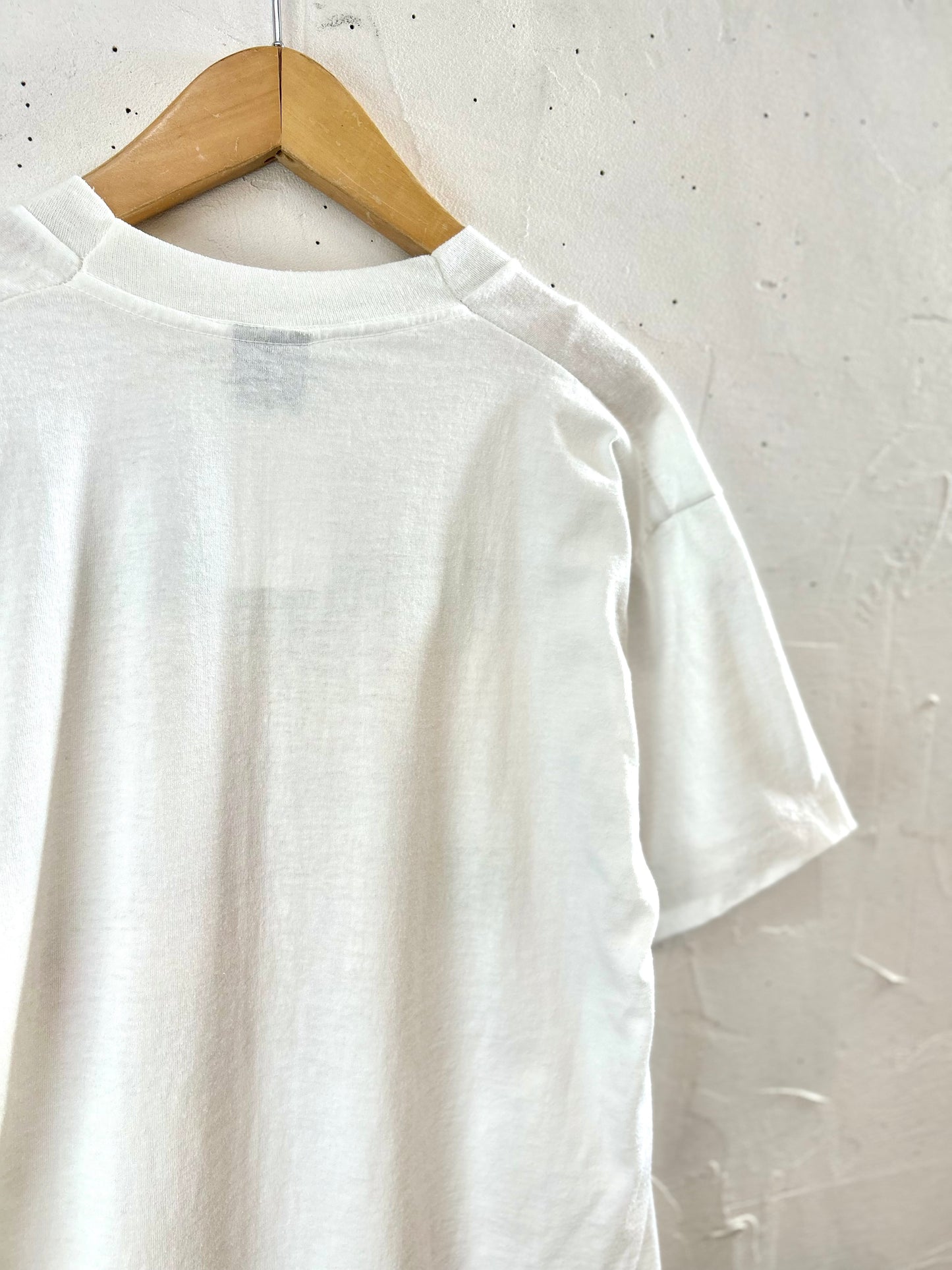 Vintage T-Shirt MADE IN USA 〜SCREEN STARS BEST〜 [F30374]