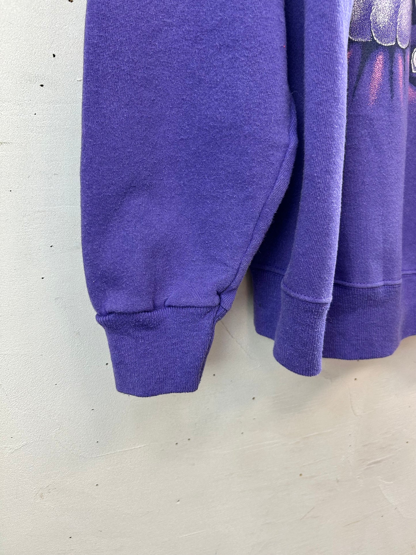 '90s Vintage Sweat 〜Hanes〜 [L29076]