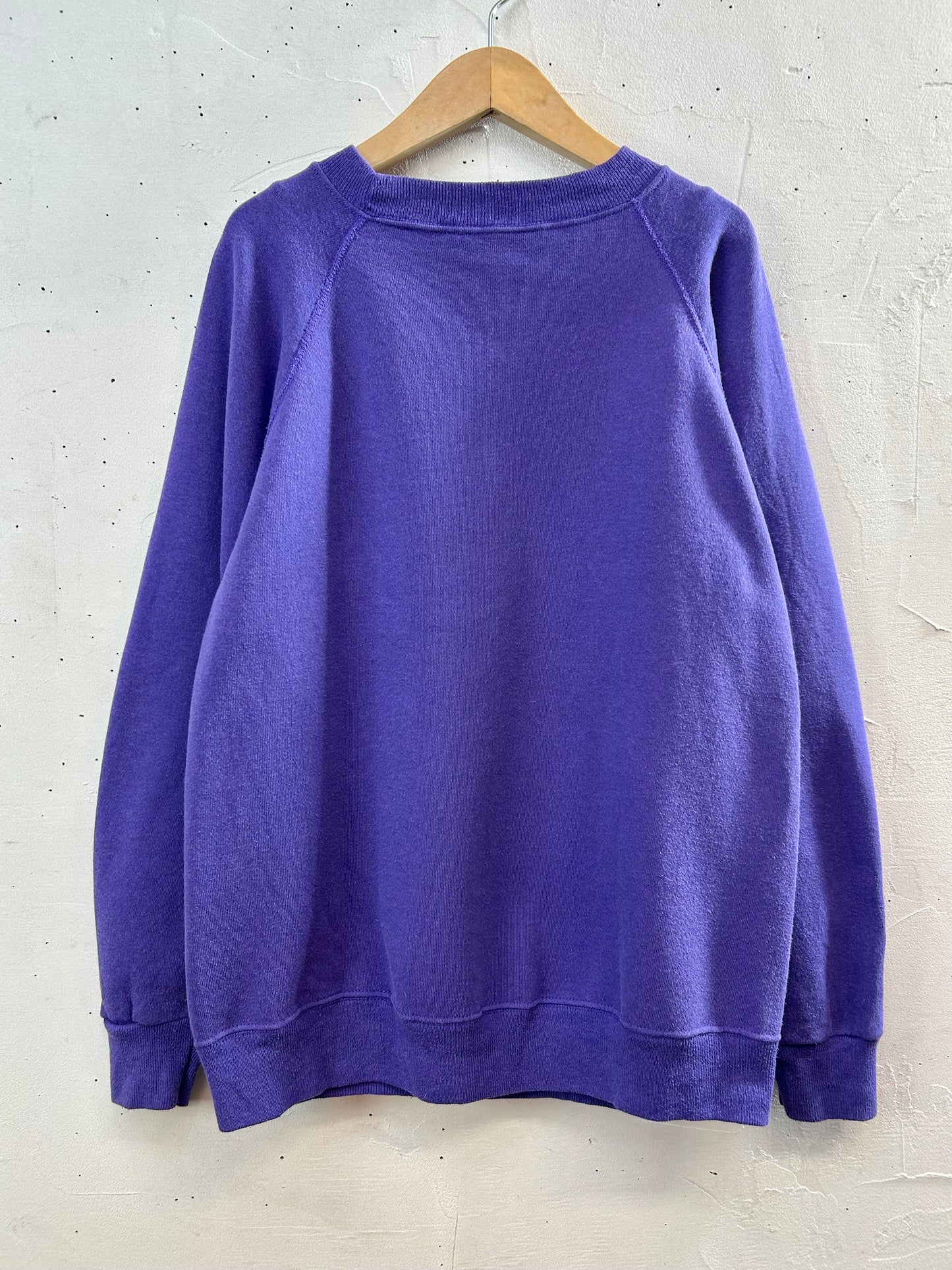 '90s Vintage Sweat 〜Hanes〜 [L29076]