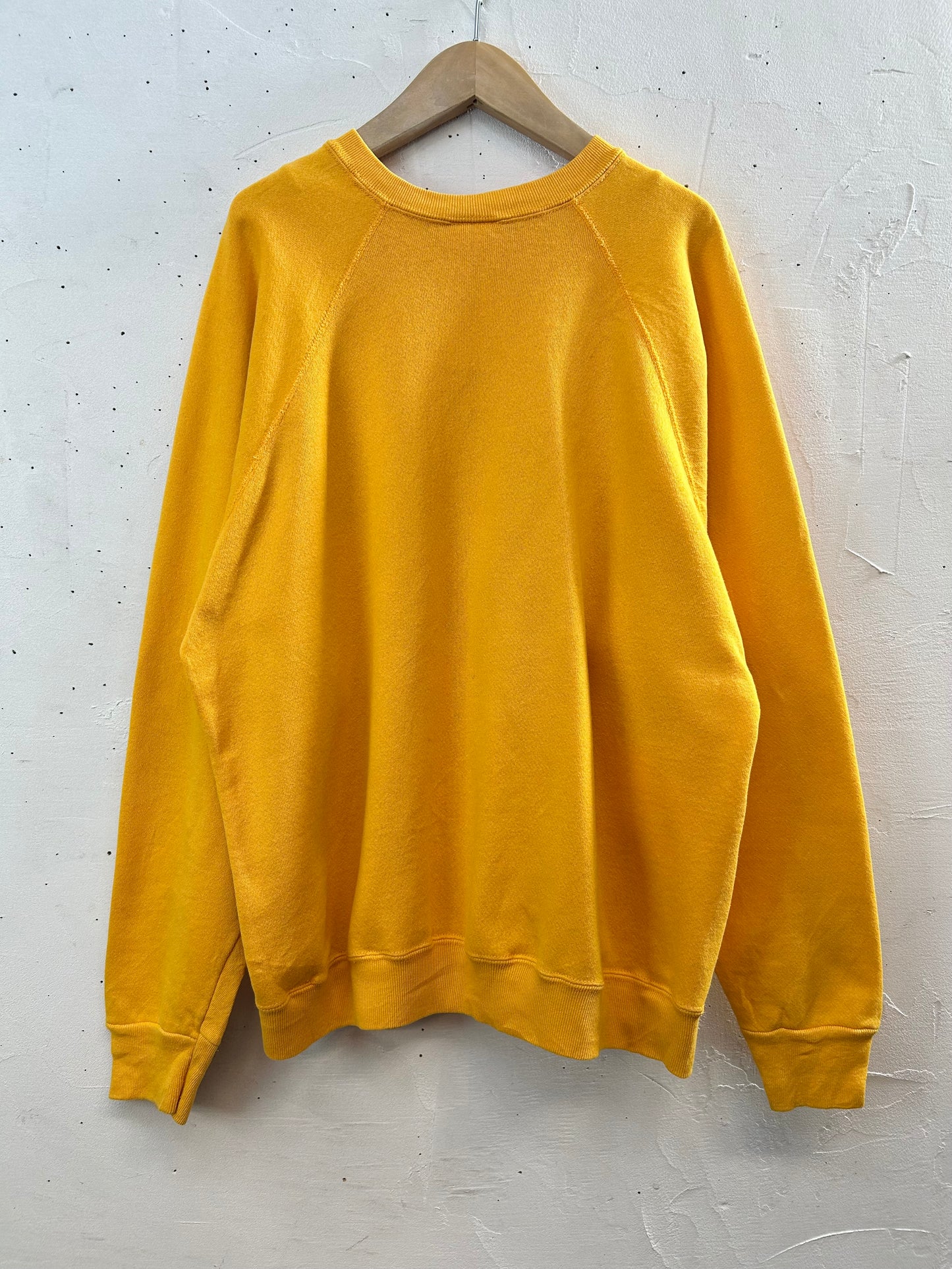 '90s Vintage Hand Painted Sweat 〜Tultex〜 [L29075]