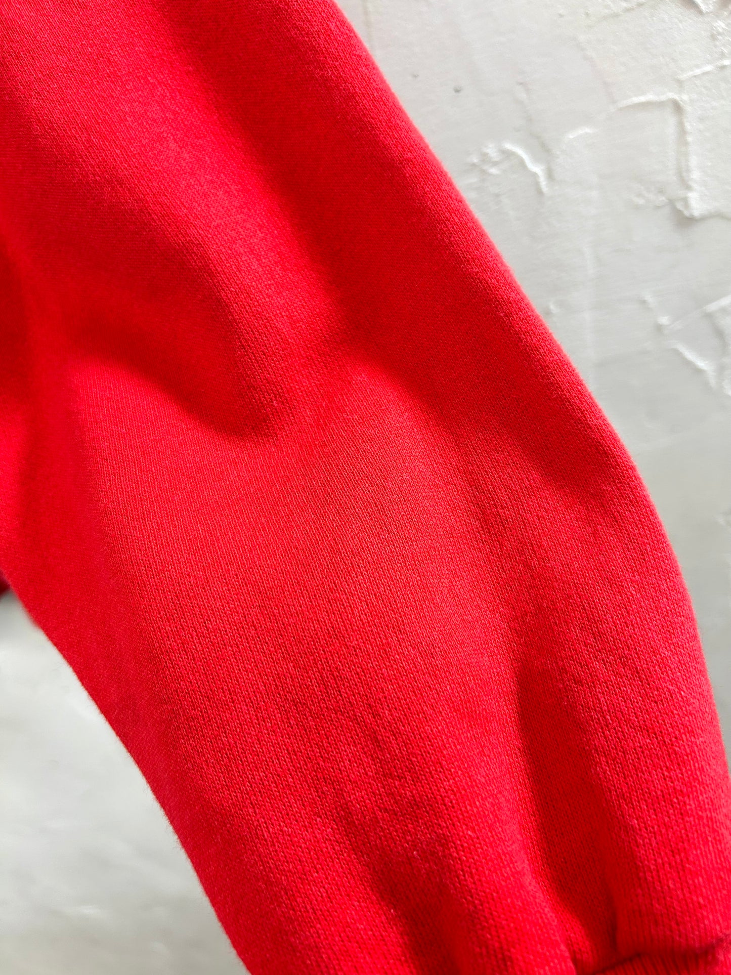 Vintage Sweat MADE IN USA [B29510]