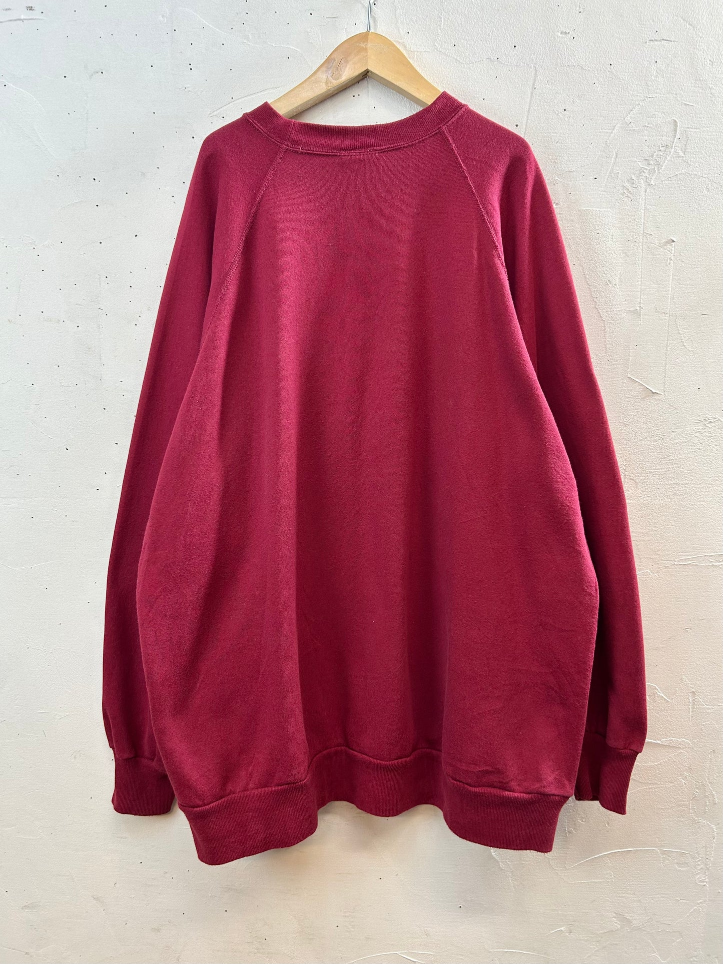 Vintage Sweat  MADE IN USA [L29074]