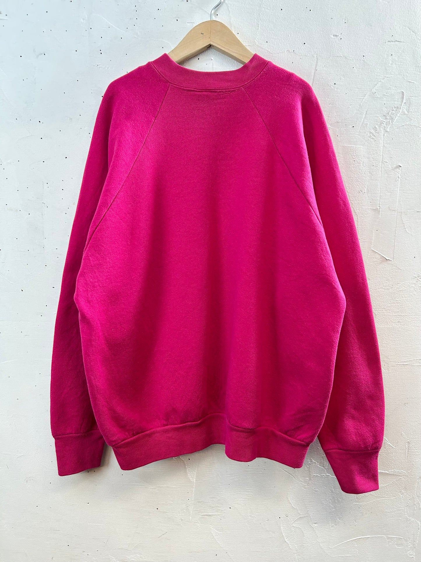 Vintage Sweat 〜FRUIT OF THE LOOM〜 [L29072]