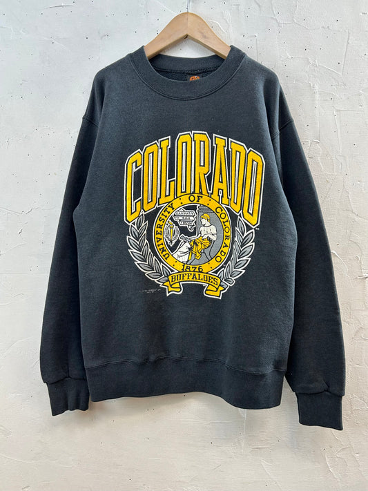 '80s College Sweat MADE IN USA [J28630]