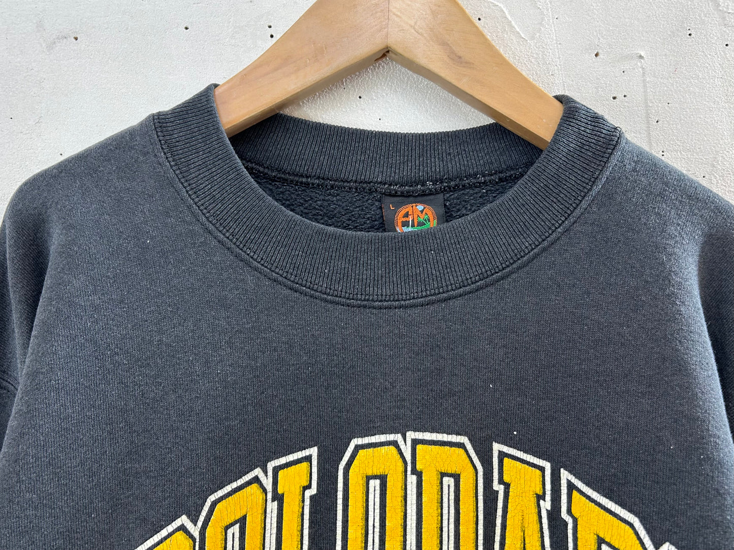 '80s College Sweat MADE IN USA [J28630]