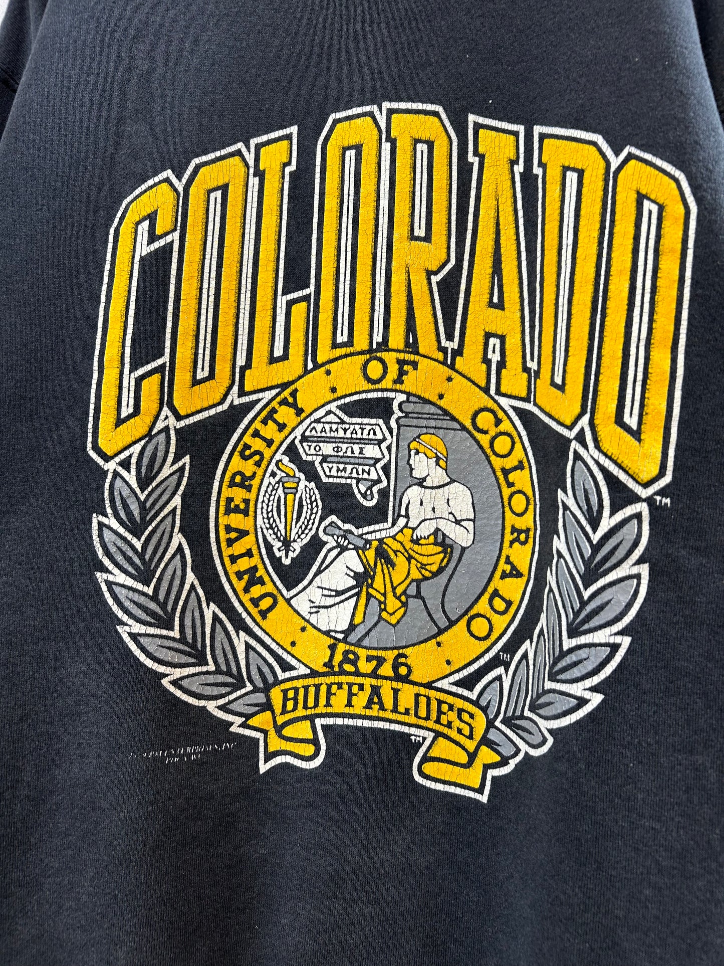 '80s College Sweat MADE IN USA [J28630]