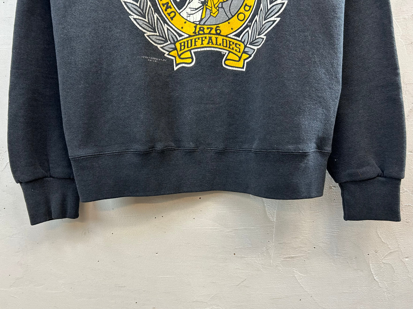 '80s College Sweat MADE IN USA [J28630]