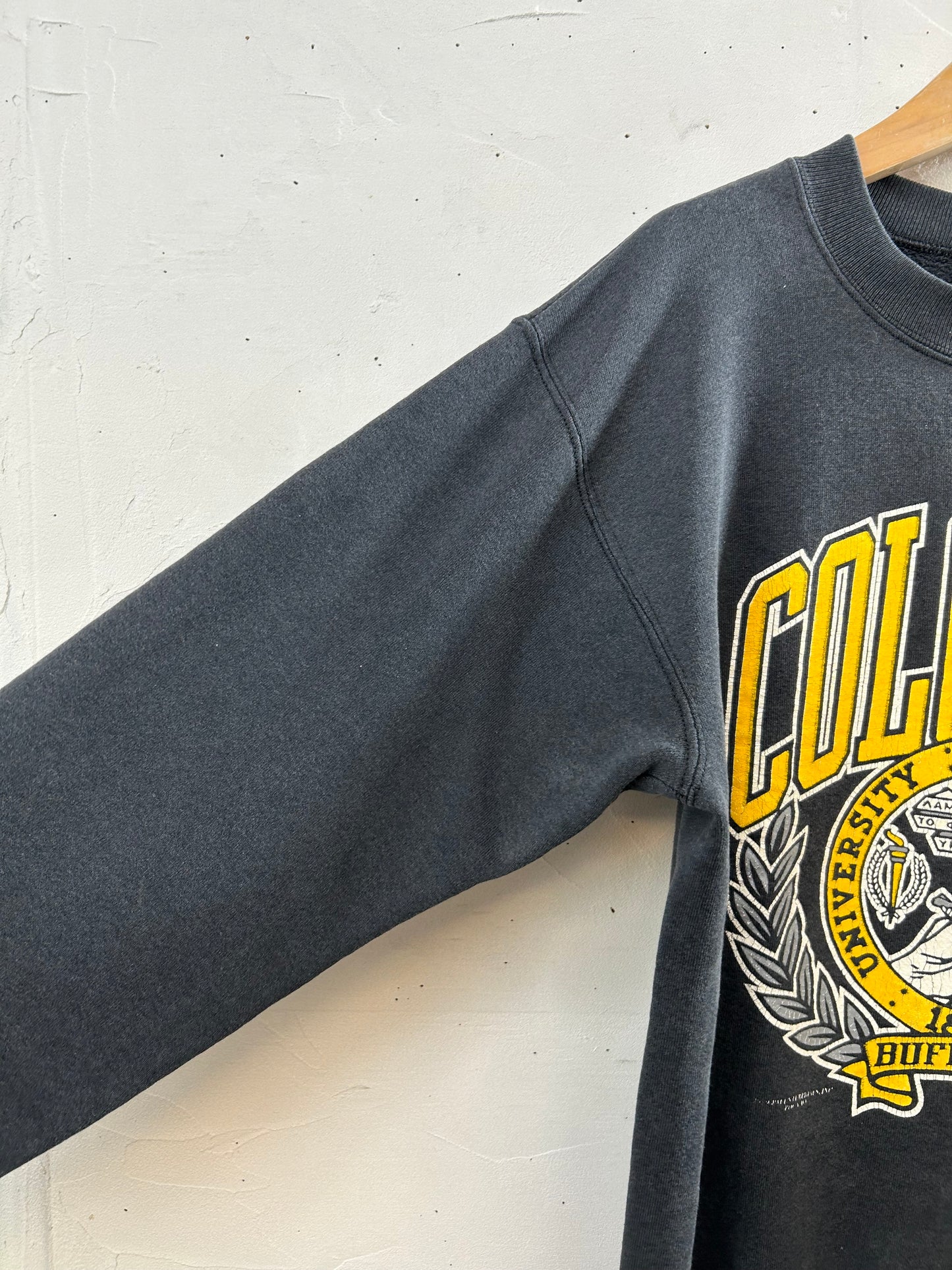 '80s College Sweat MADE IN USA [J28630]