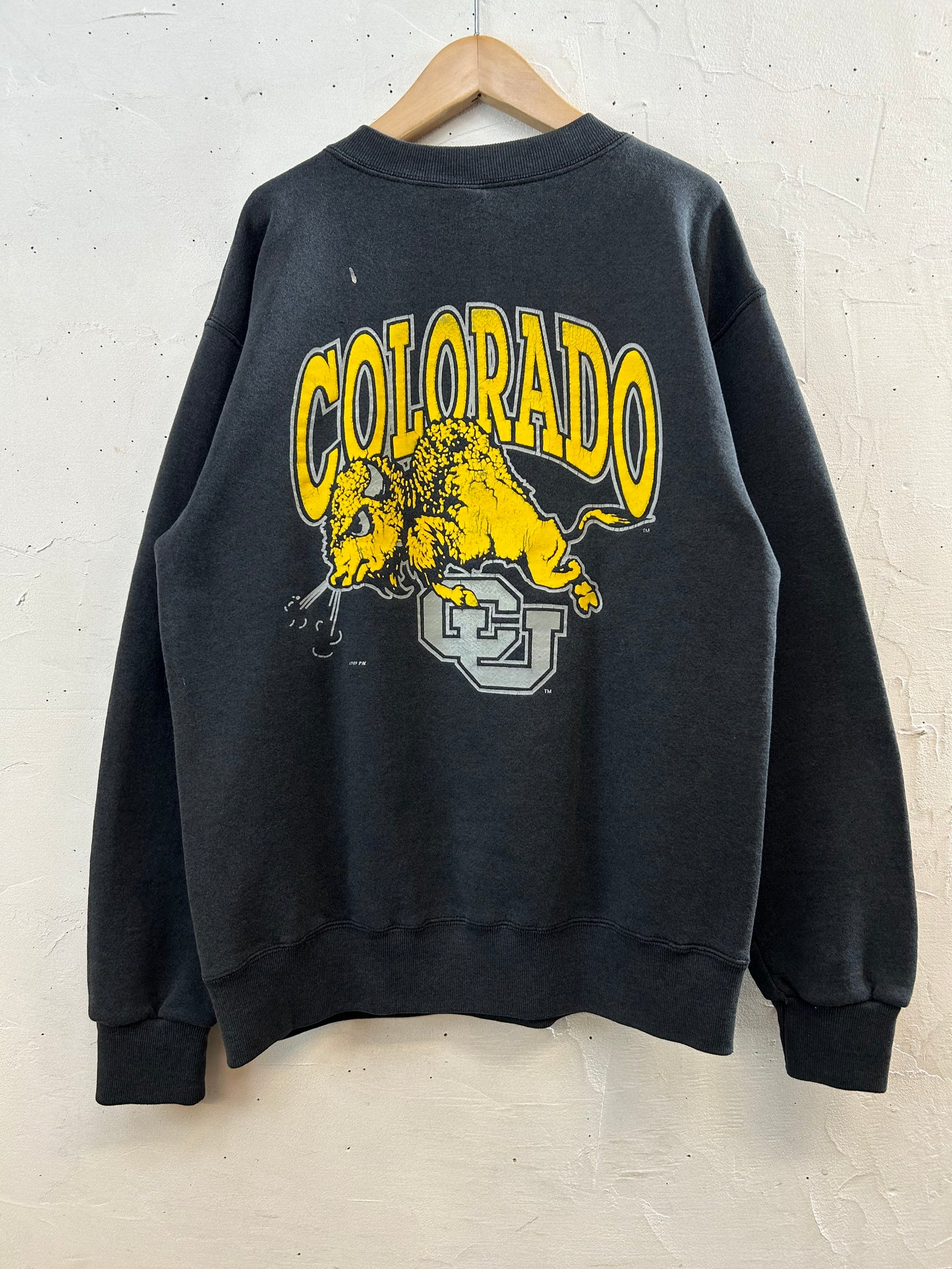 '80s College Sweat MADE IN USA [J28630]