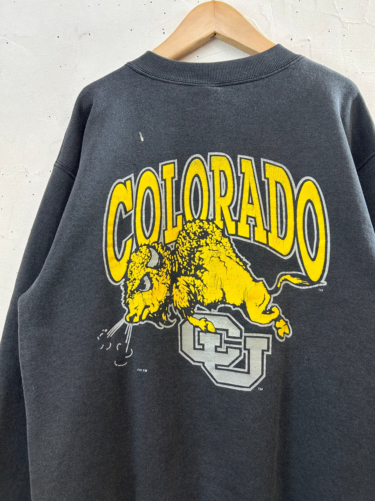 '80s College Sweat MADE IN USA [J28630]