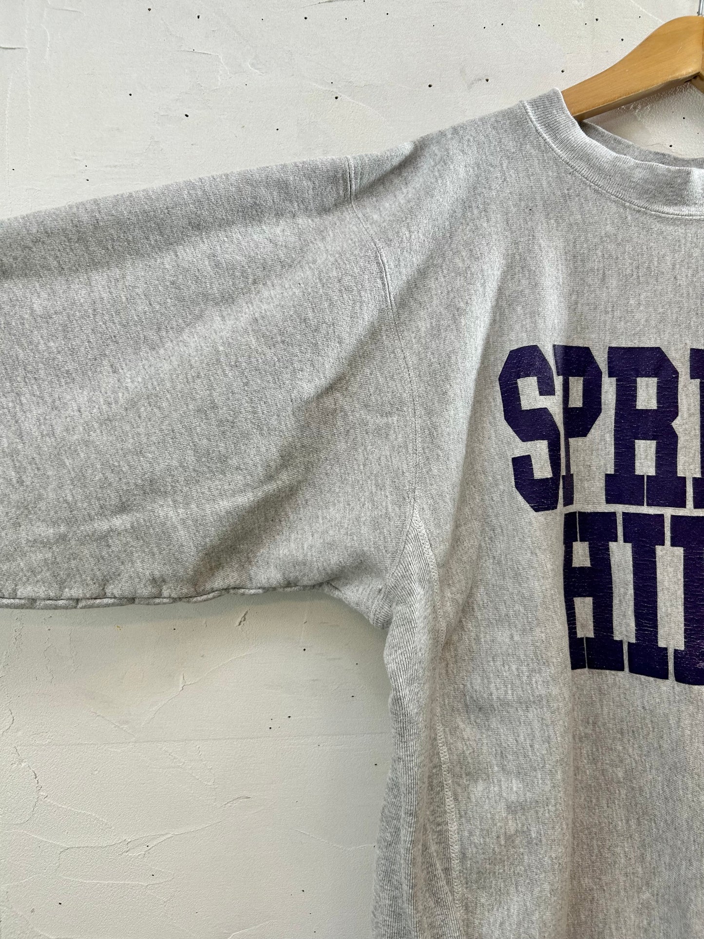 Vintage College Sweat MADE IN USA [J28632]