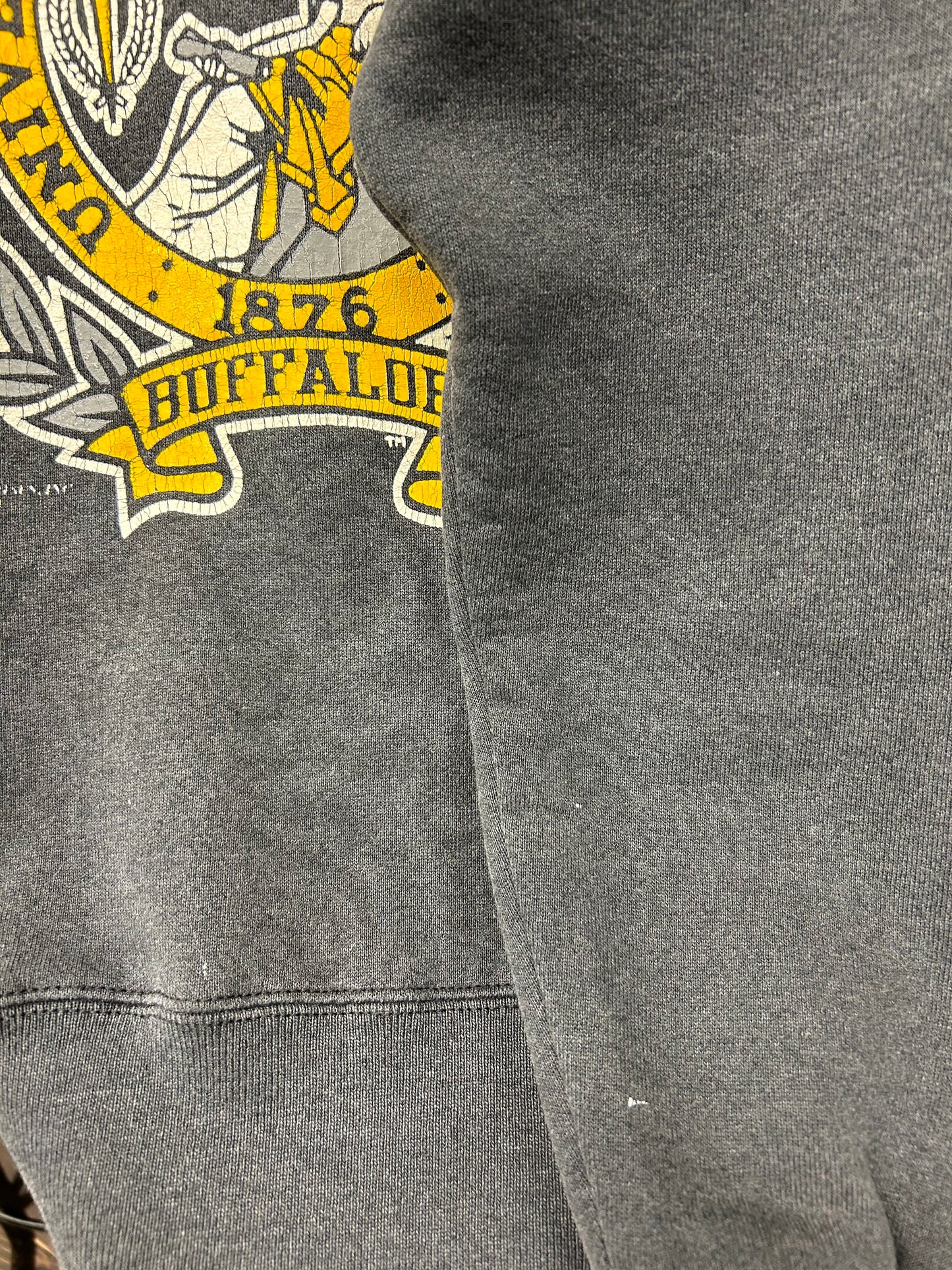 '80s College Sweat MADE IN USA [J28630]