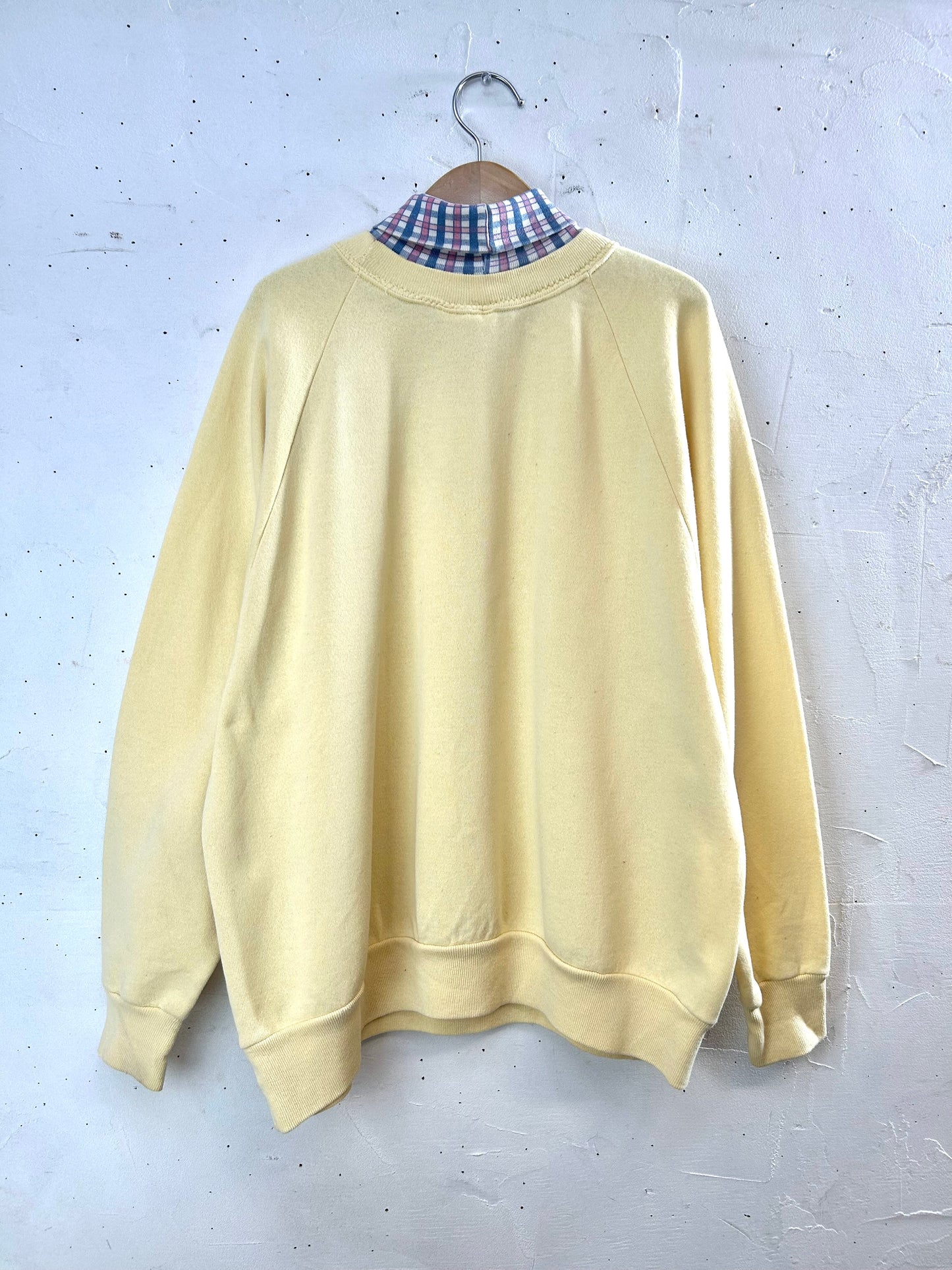 Vintage Sweat MADE IN USA  [A29319]