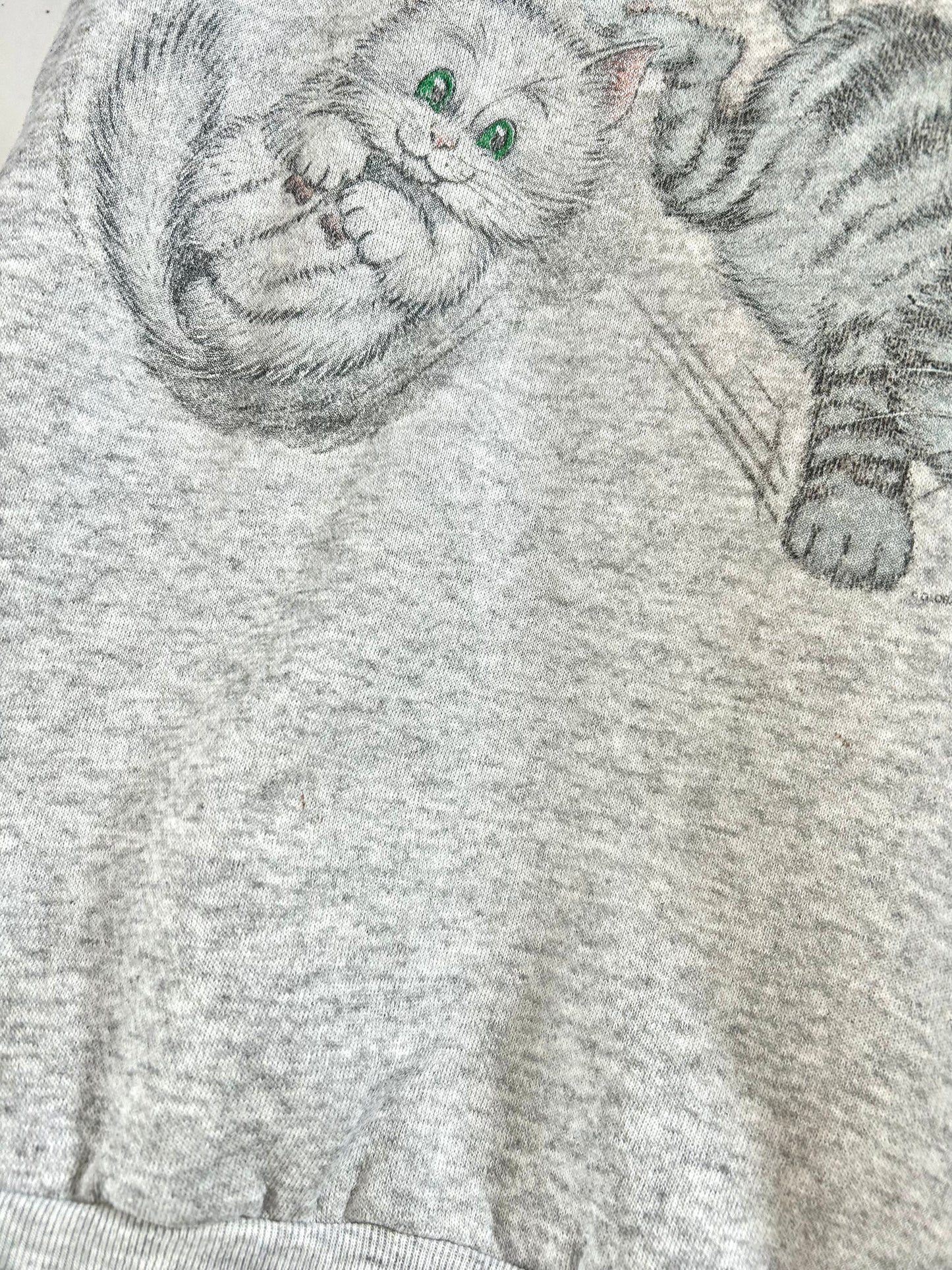 Vintage Sweat ASSEMBLED IN MEXICO OF USA 〜TULTEX〜  [A29320]