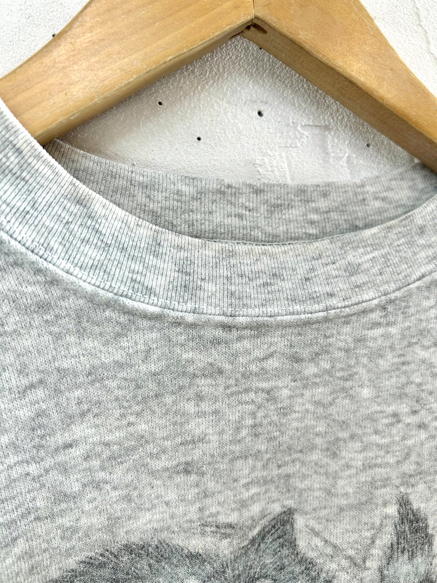 Vintage Sweat ASSEMBLED IN MEXICO OF USA 〜TULTEX〜  [A29320]