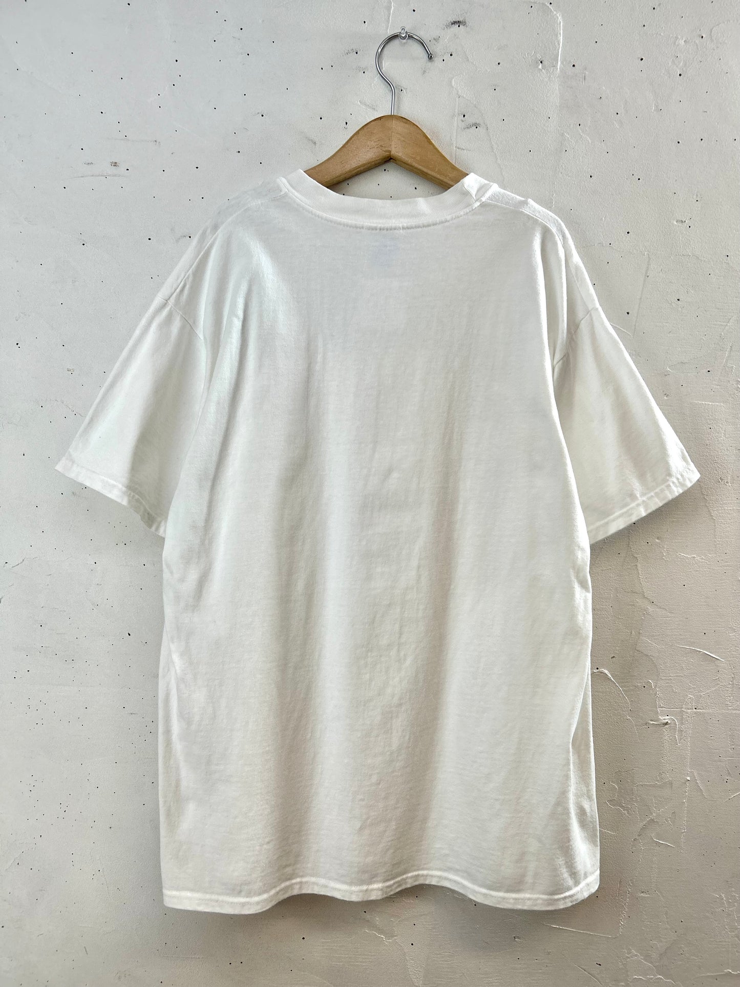 Vintage T-shirt 〜Hanes〜 [D29978]