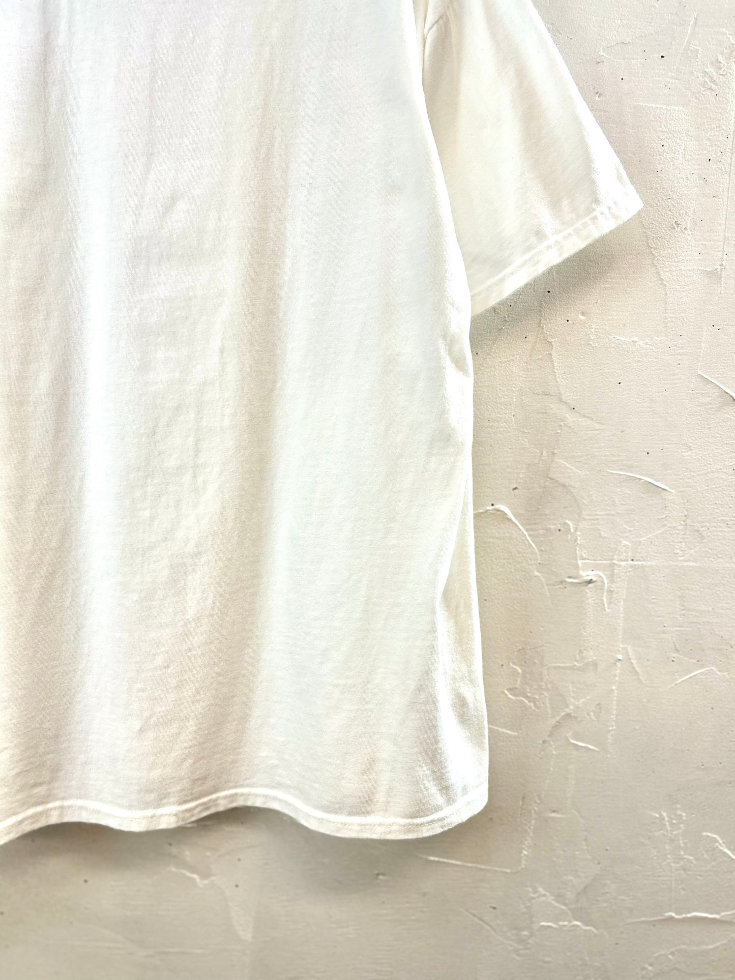 Vintage T-shirt 〜Hanes〜 [D29978]