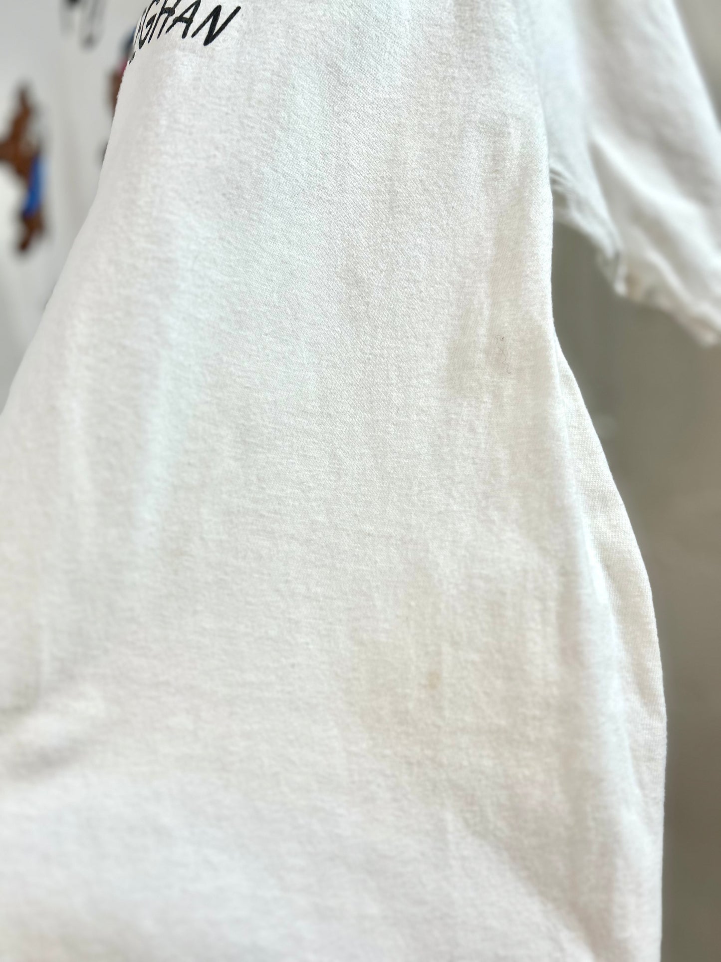 Vintage T-shirt 〜Hanes〜 [D29978]