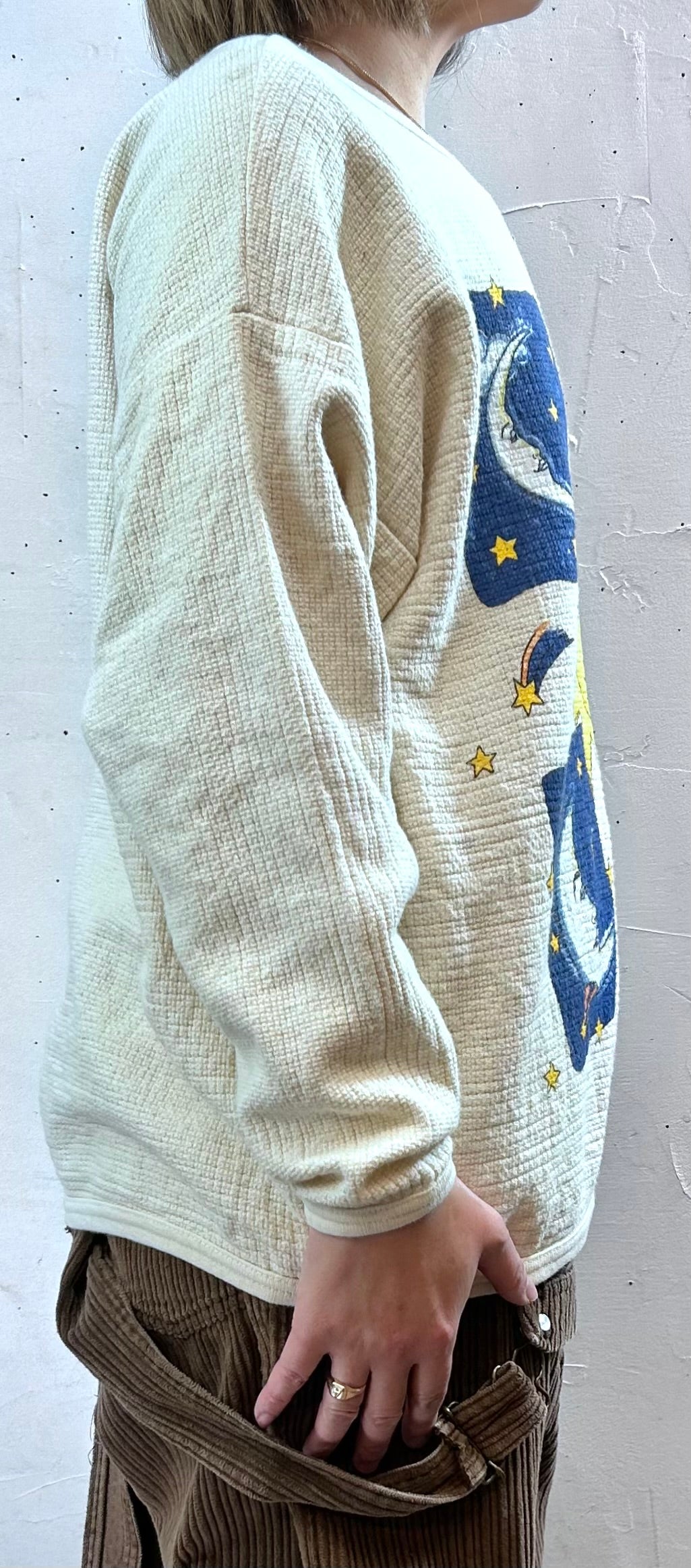 Vintage Sweat MADE IN USA [L29097]