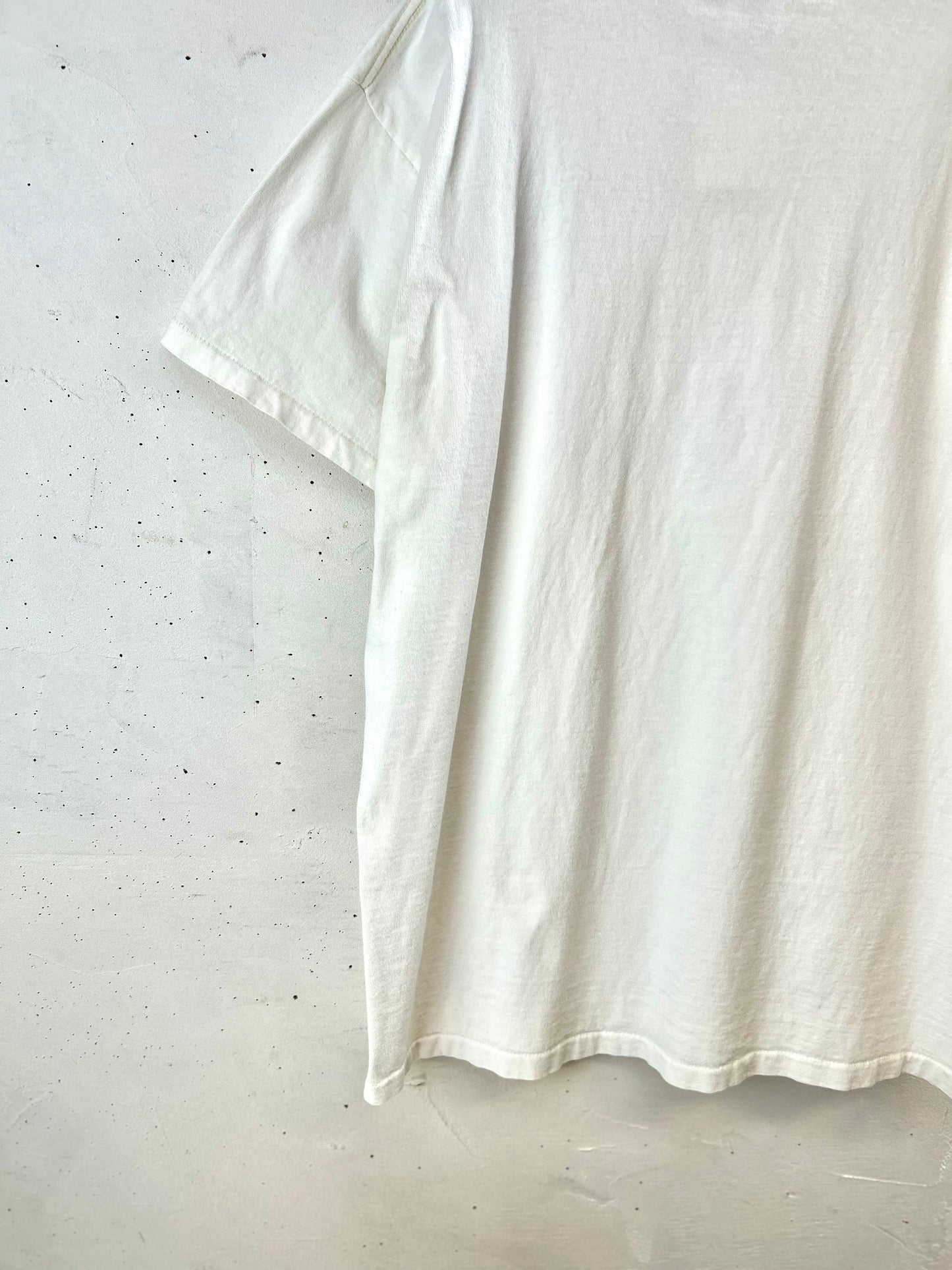 Vintage T-Shirt 〜DELTA〜 Made in USA [G30616]