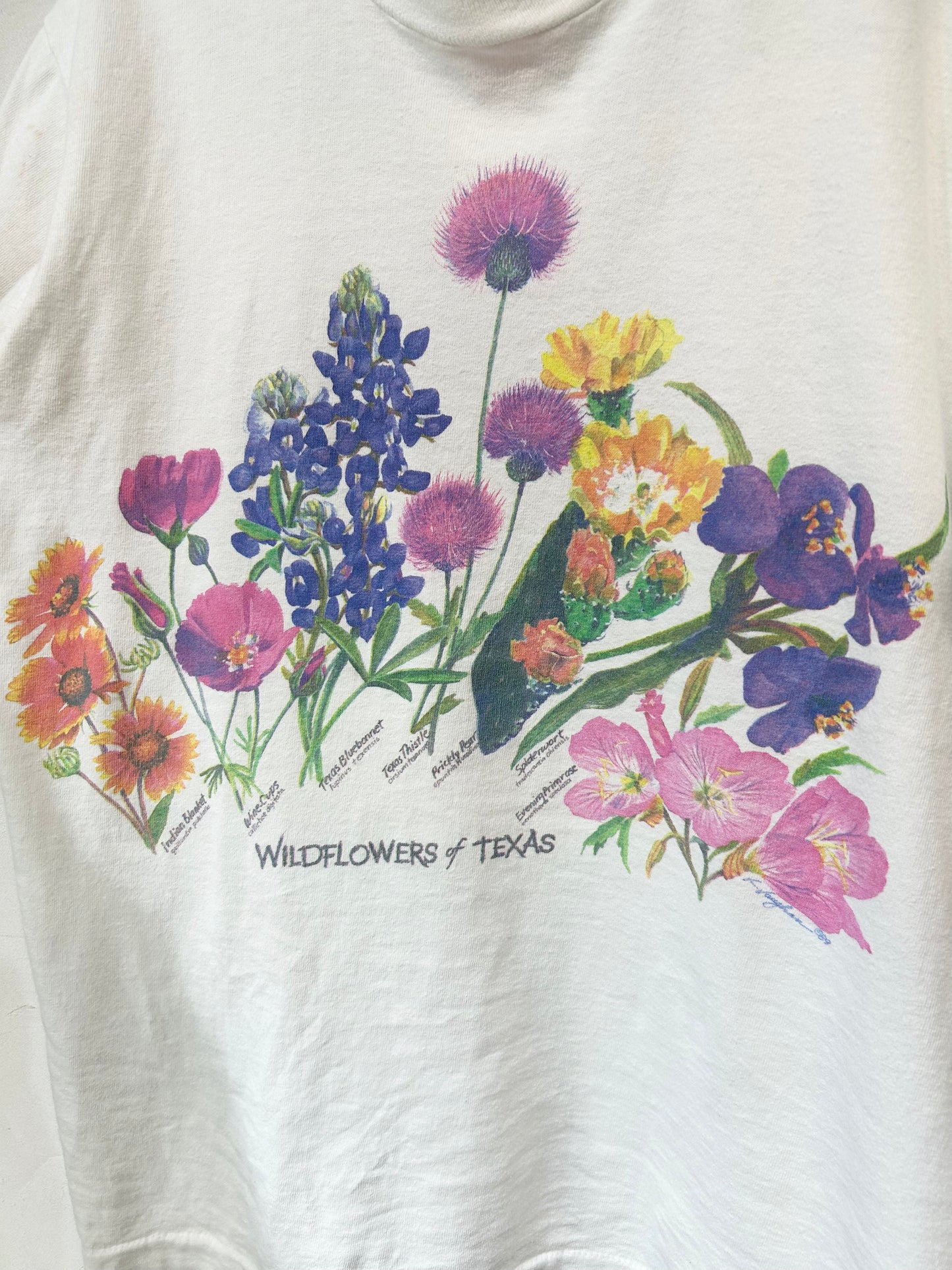 Vintage T-Shirt MADE IN USA 〜FRUIT OF THE LOOM〜 [D26711]