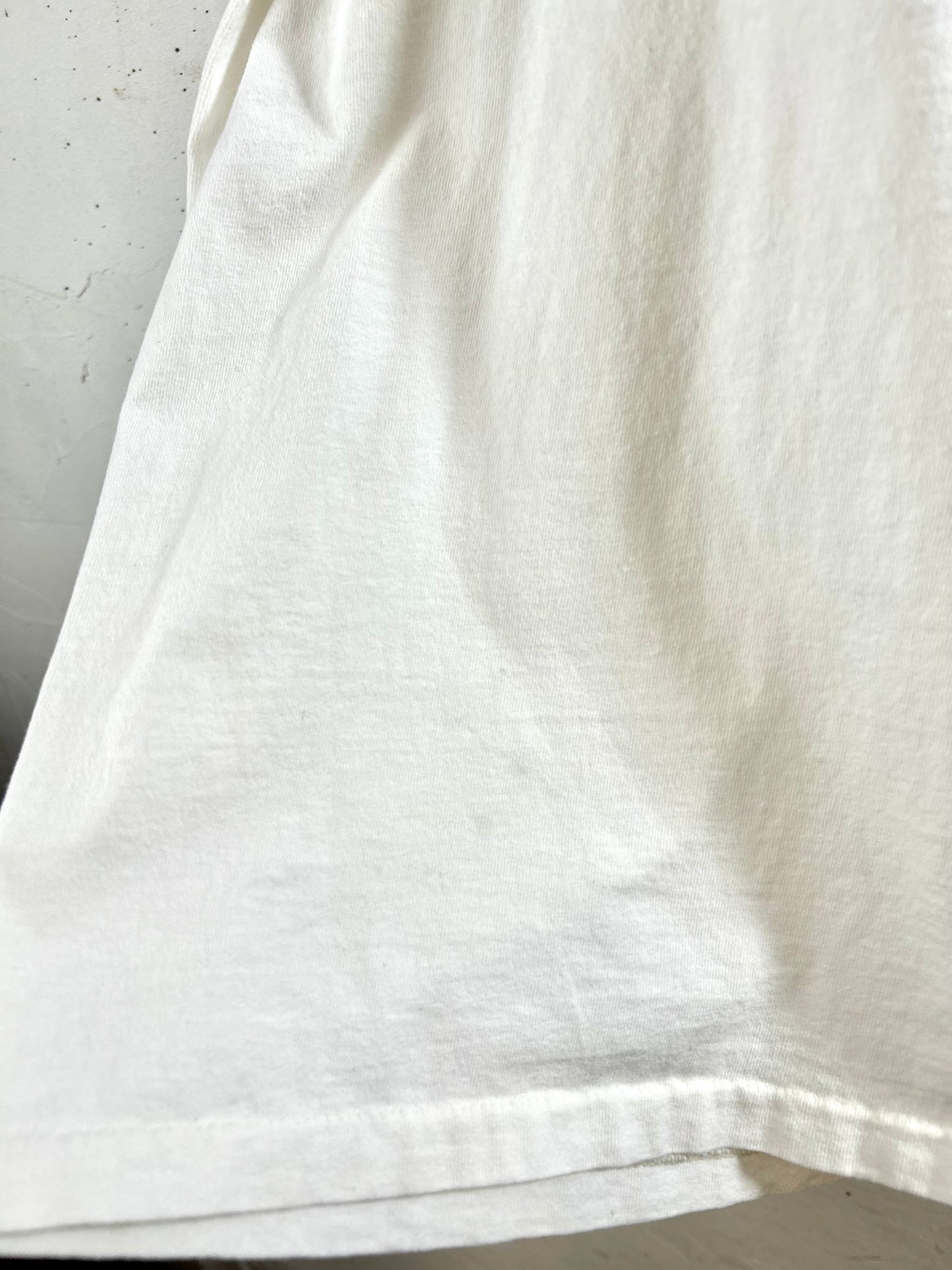 Vintage T-Shirt 〜DELTA〜 Made in USA [G30616]