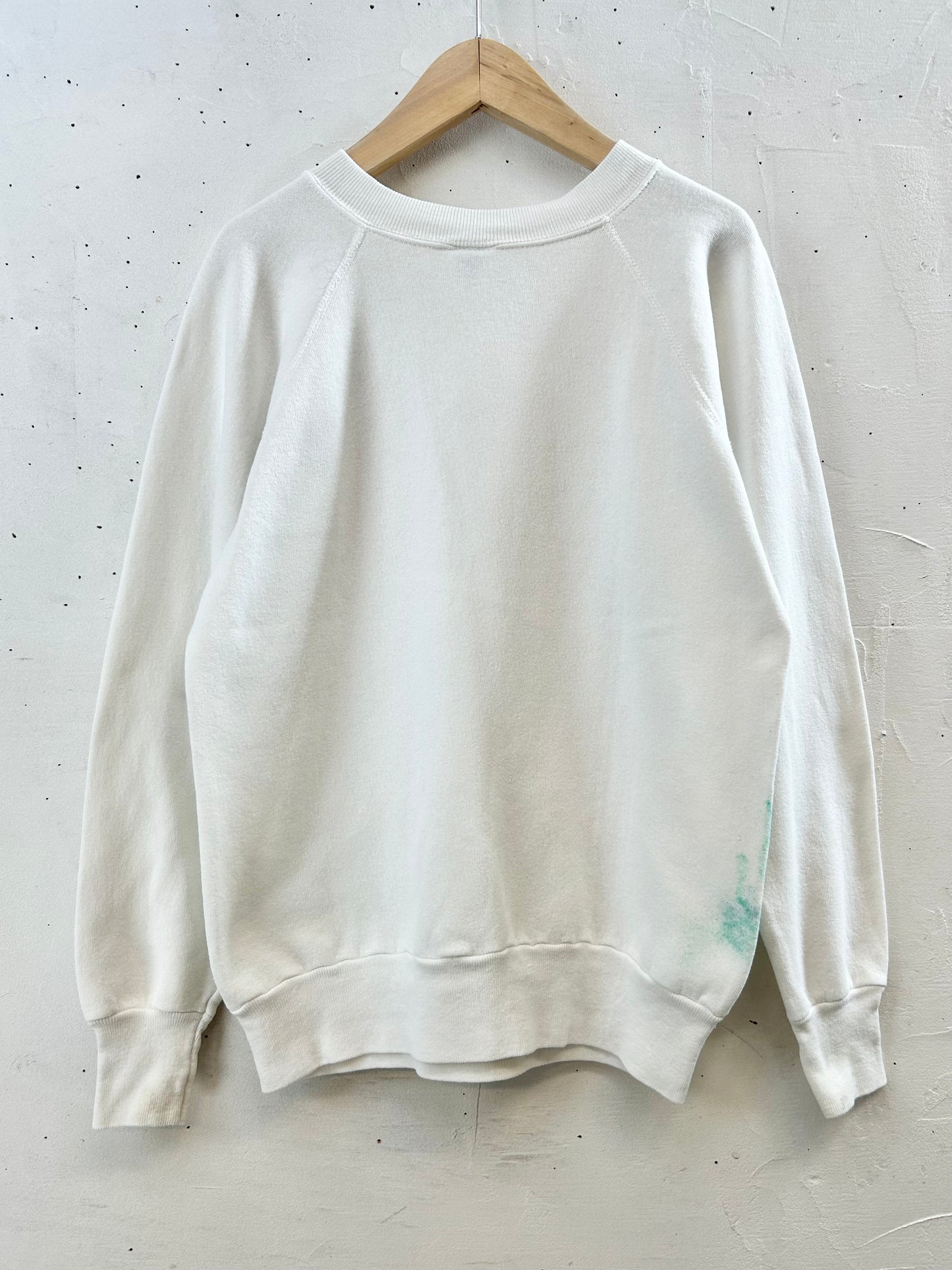 ’80s Vintage Hand Painted Sweat MADE IN THE USA [I28440]