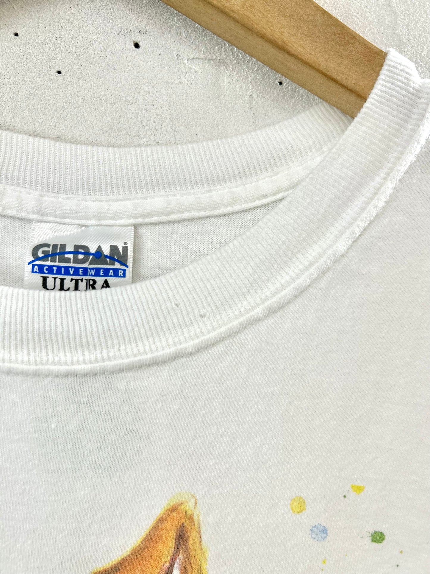 Vintage T-Shirt 〜GILDAN〜 [D29983]