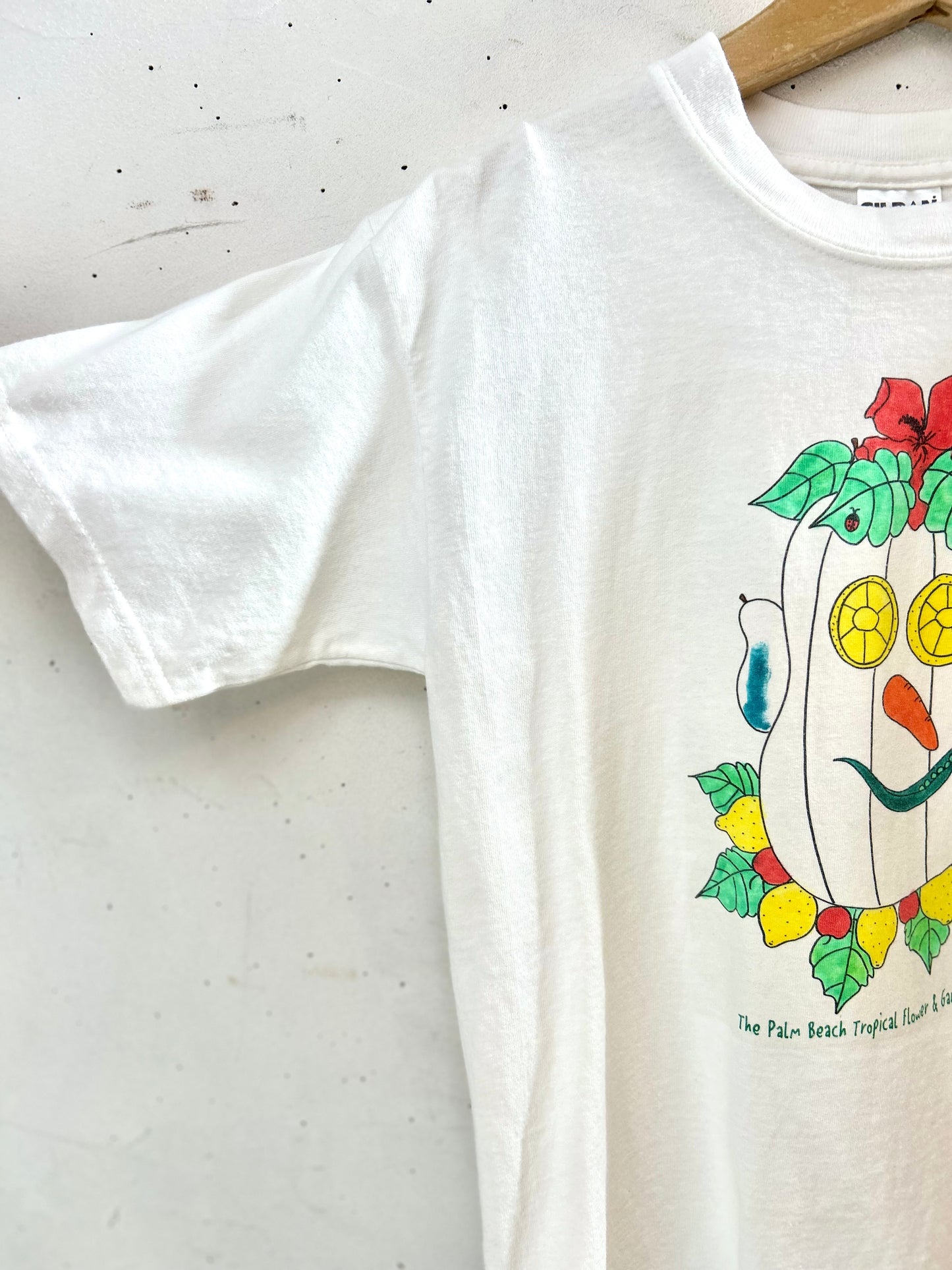 Vintage T-Shirt 〜GILDAN〜 [D29982]