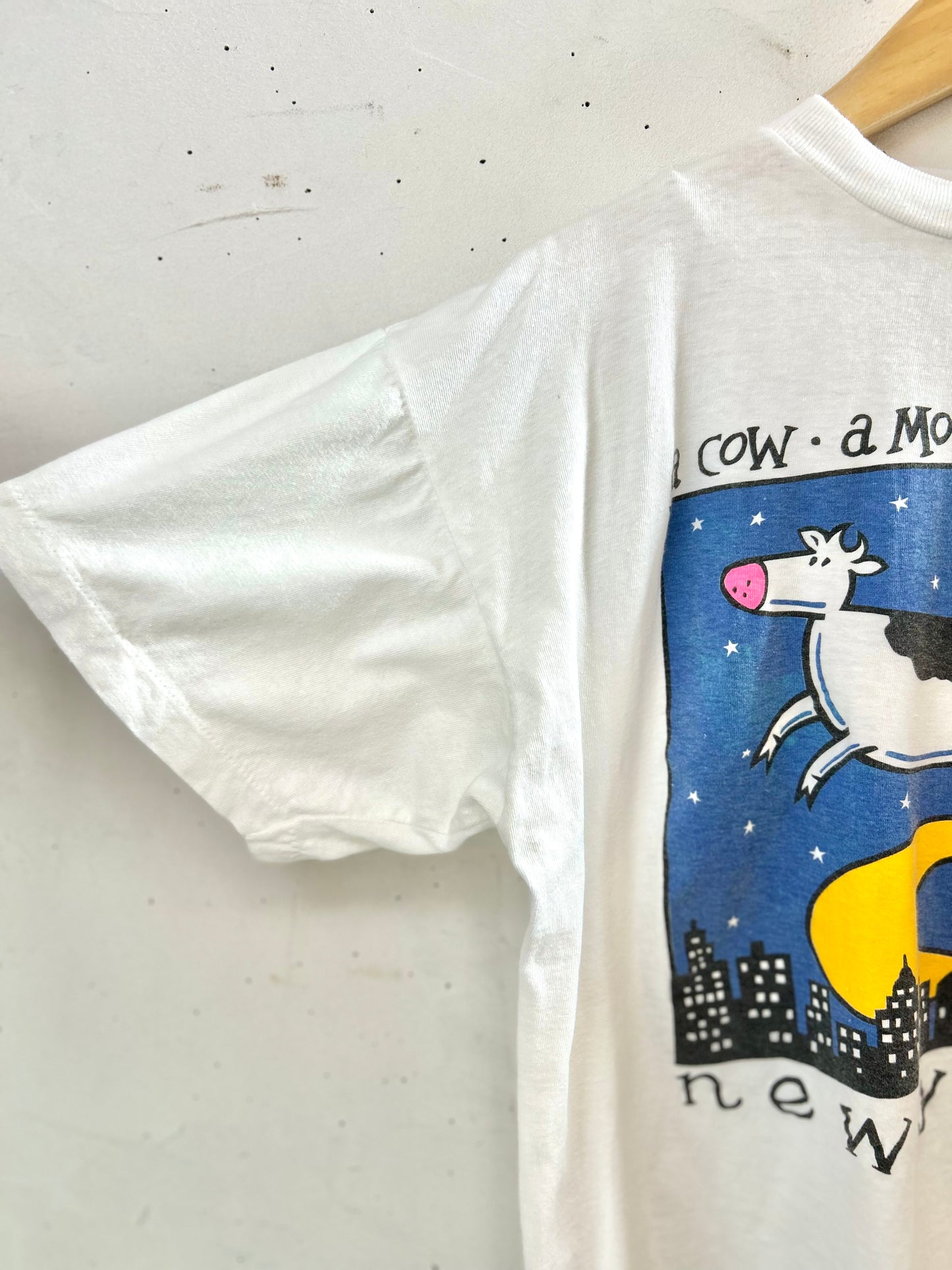 Vintage T-shirt  Made in Dom.Rep. [D29981]